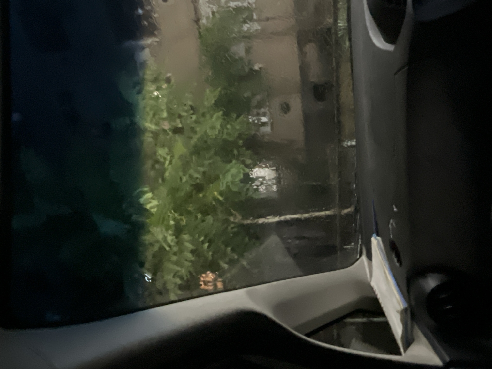 The image was taken at night, possibly during or after rain, from inside a vehicle looking out the windshield. The windshield is wet, distorting the view of the outside. In the foreground, the dark dashboard of the car is visible, with a white and blue object, possibly a folded piece of paper or a small notepad, resting on it. Through the windshield, lush green trees with visible branches and leaves are prominent. Behind the trees, a building with windows can be discerned, appearing somewhat blurred due to the wet glass. The overall lighting suggests it is dark outside, with some ambient light reflecting off the wet surfaces and illuminating the scene. The location is Poti, Georgia, but no specific landmarks identifiable to Poti are visible.