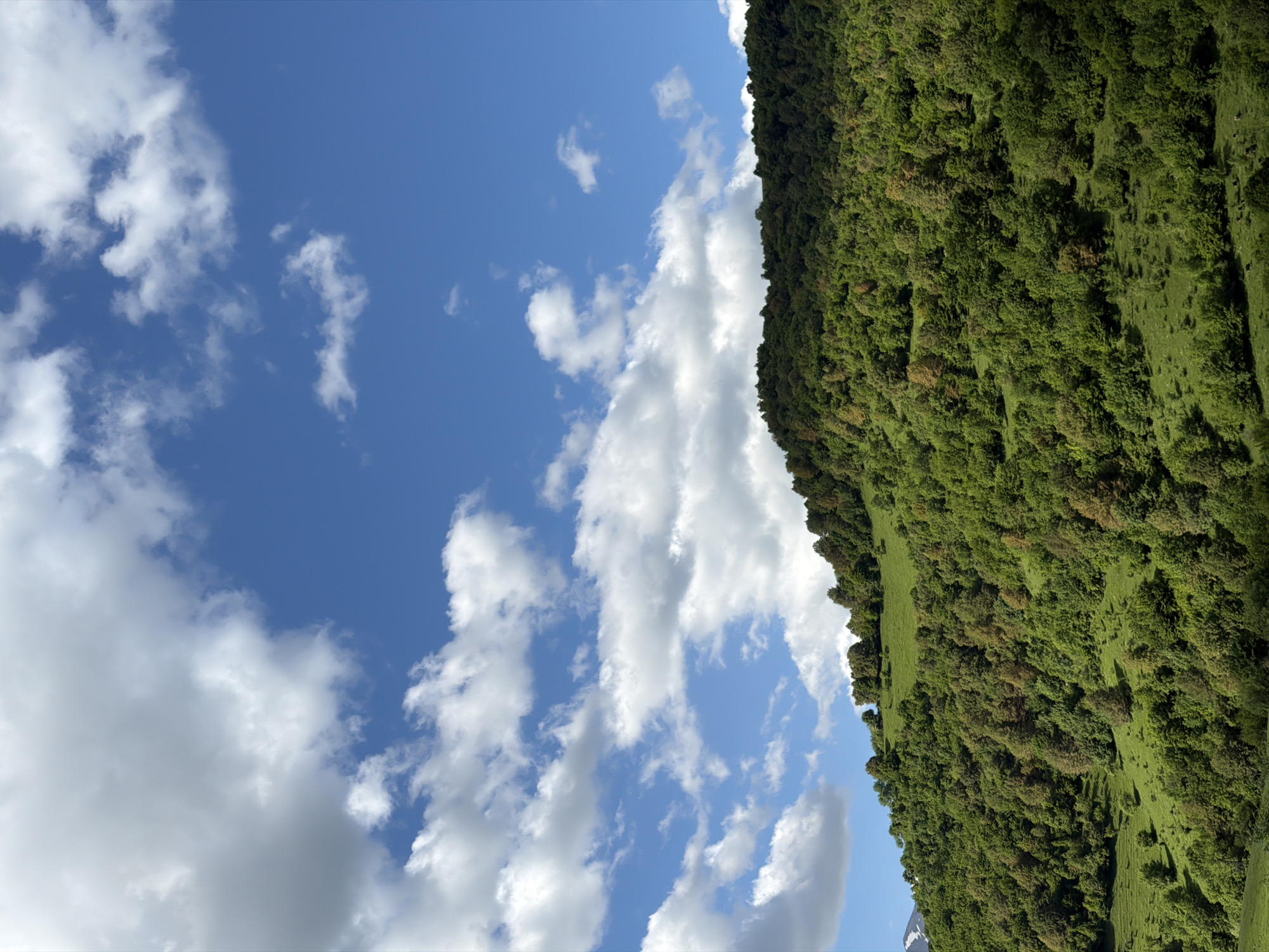 The image shows a scene near Chkalov, Armenia. The view is divided roughly in half between a bright blue sky with scattered white clouds and a lush green hillside covered with trees and grassy areas. The hillside is on the right side of the image, appearing to rise vertically. The sky is on the left, revealing patches of blue between the puffy white clouds. In the lower-right corner, a hint of snow-capped mountain can be seen. The orientation of the image suggests it was taken while holding the camera sideways. There are no people visible.