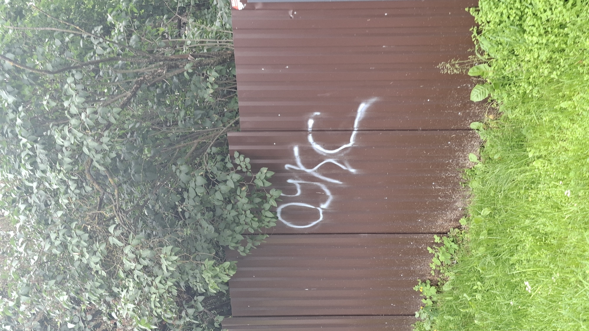 A weathered, brown corrugated metal fence is spray-painted with white graffiti. The graffiti appears to be a stylized representation of Cyrillic letters. The fence is situated in an outdoor environment, with lush green grass and foliage growing at its base and trees with green leaves visible above. The overall setting suggests a location within the city of Smaliavichy, Belarus, likely in a semi-urban or rural area given the vegetation and fence type. There are no people visible in the image.