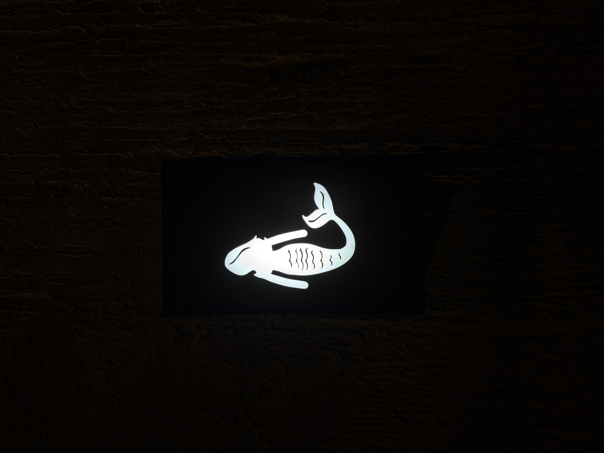 A vertically oriented photograph displays an illuminated white silhouette of a mermaid, centered within a black rectangular sign, mounted on a dark, textured wall in Ao Phai, Thailand. The mermaid figure faces right, featuring distinct hair, a human-like torso with arms, and a scaled fish tail adorned with wavy lines, terminating in a fluked end. The sign emits a bright white light, creating a strong contrast against its black frame and the surrounding wall. The wall exhibits a rough, uneven texture, characterized by vertical striations and variations in dark brown and black tones, consistent with stucco or a similar material. The environment is dimly lit, accentuating the glowing sign.