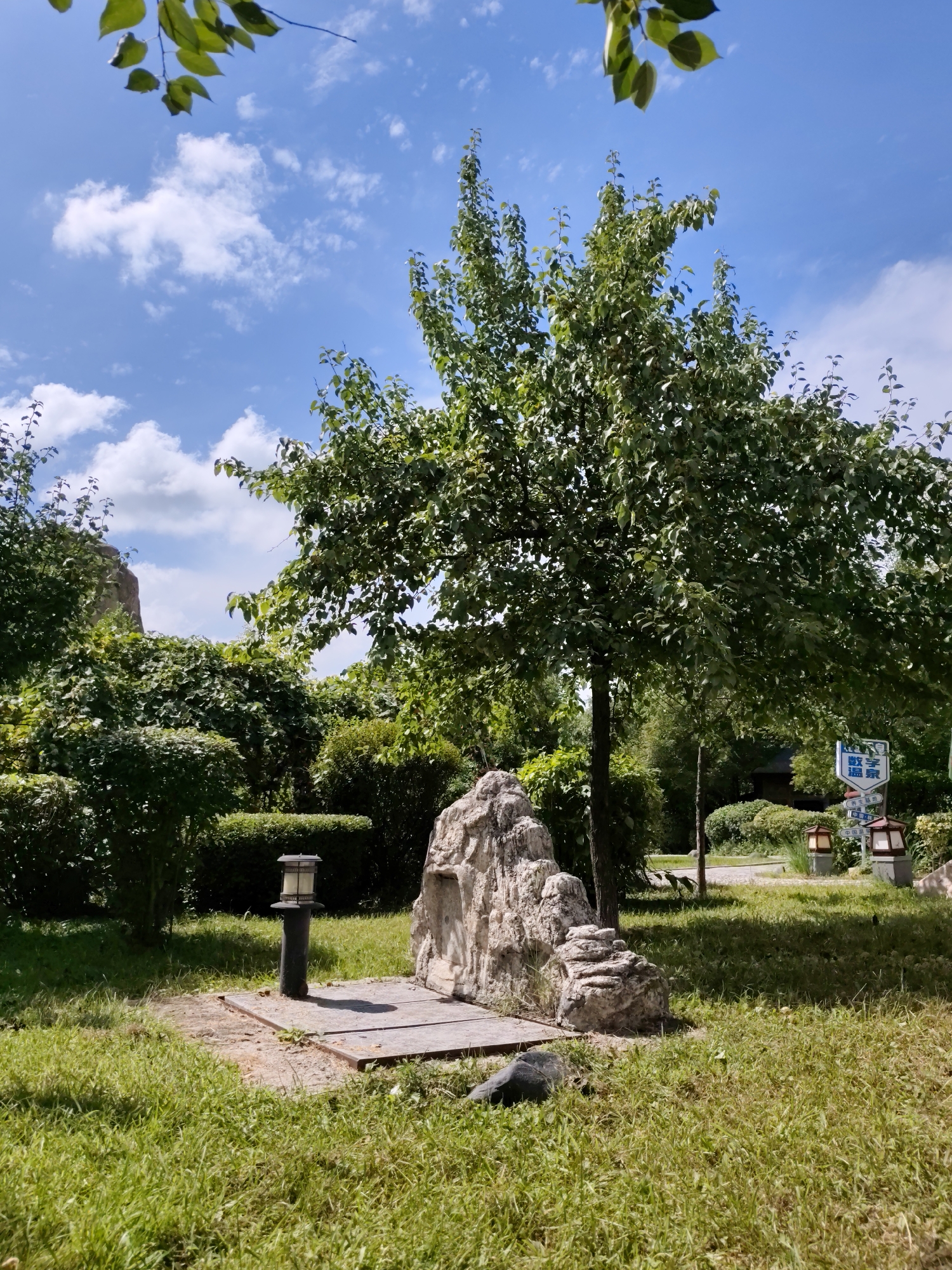 In a park setting in Lindian Town, China, a medium-sized deciduous tree stands prominently in the center of the frame. The tree has a dense canopy of green leaves and a slender trunk. In front of the tree, a decorative rock formation, approximately 2 feet tall, sits on a square concrete platform. A dark gray, cylindrical lamp post with a lantern on top is positioned to the left of the rock formation. The ground around the platform is covered in green grass. Behind the central tree, there is a background of lush green bushes and other trees, with a bright blue sky dotted with white clouds visible above. To the right of the frame, a white sign with blue lettering and three red lanterns are visible, along with more greenery and a paved path. The overall scene depicts a well-maintained outdoor public space.