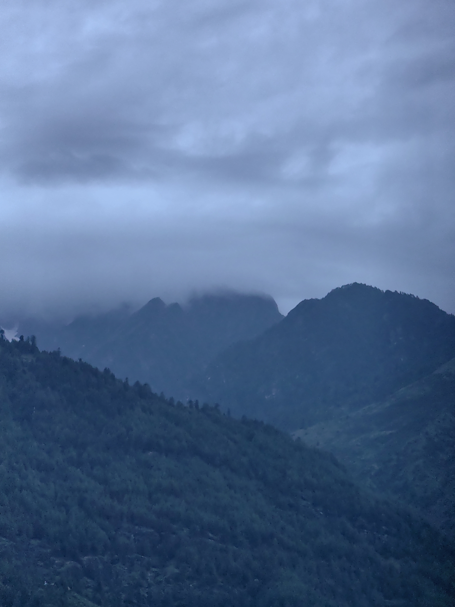 The image depicts a serene, overcast mountain landscape with a dense forest covering the foreground slopes. The sky is a muted gray, with layers of clouds partially obscuring the peaks of the mountains in the background, creating a mystical atmosphere. The overall color palette is dominated by deep blues and greens, characteristic of a cloudy day in a mountainous region. The location is Vashisht, India, a place renowned for its natural beauty and hot springs, nestled amidst the Himalayas. The scene conveys a sense of tranquility and the raw, untouched power of nature.