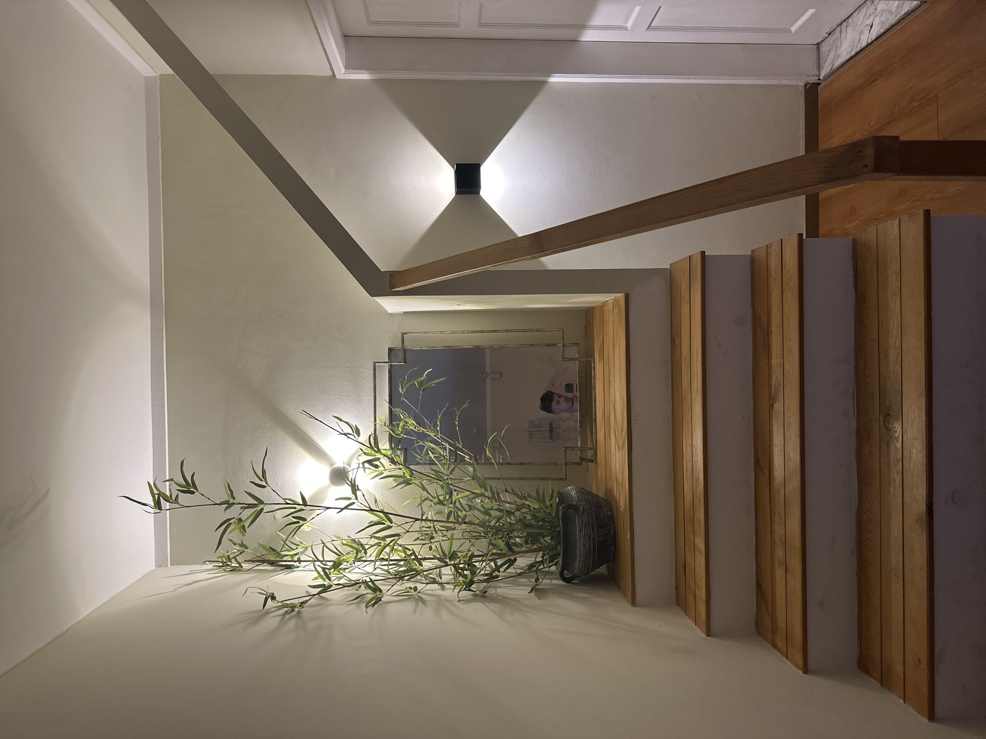 The image depicts an interior space with a minimalist aesthetic, possibly located in Yuzhong District, China. The walls are painted in a light, neutral tone, with an accent wall constructed from vertical wooden slats. Above, a structural wooden beam runs diagonally across the ceiling, interrupted by a square recessed lighting fixture that casts a diamond-shaped pattern on the ceiling. A mirror is visible on one wall, reflecting the interior space, and a plant in a dark-colored vase sits near the base of the mirror. The light from the room and the light from the fixture cast shadows from the leaves of the plant. The floors are light-colored.