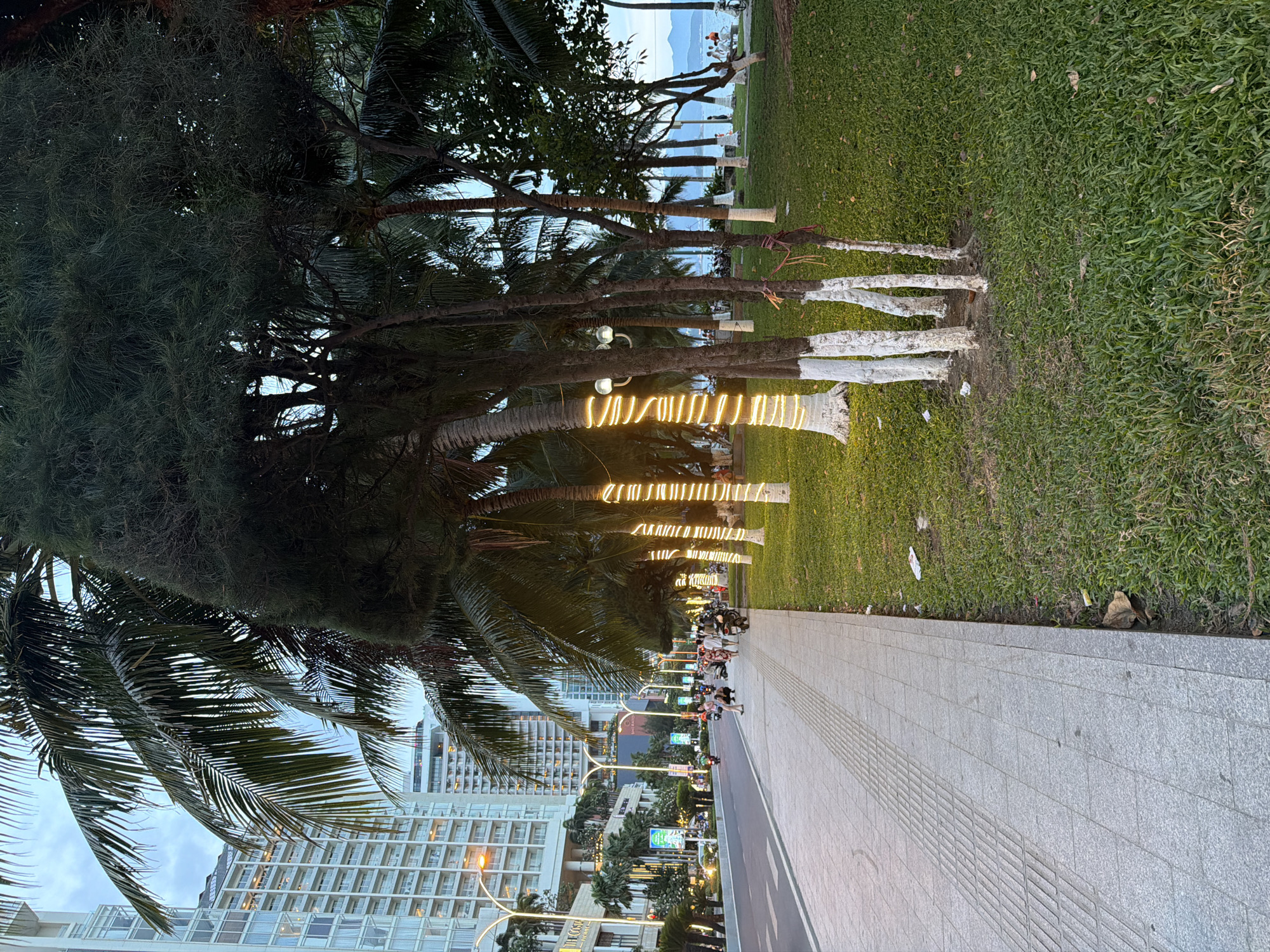 This image shows a street scene in Nha Trang, Vietnam, likely along the beachfront. A wide, paved sidewalk runs along the left side of the image, bordered by a grassy area. Several palm trees and other lush vegetation line the grassy area. Some of these trees are decorated with strings of warm-toned lights.
Across the street, there are tall, modern buildings with many windows, suggesting a developed urban area. Further down the street, there is traffic, including motorcycles, indicating activity. People are walking on the sidewalk and near the grassy area. In the background, the sky is overcast, and faint outlines of distant hills or mountains can be seen near the ocean. The overall atmosphere suggests an evening or twilight setting.