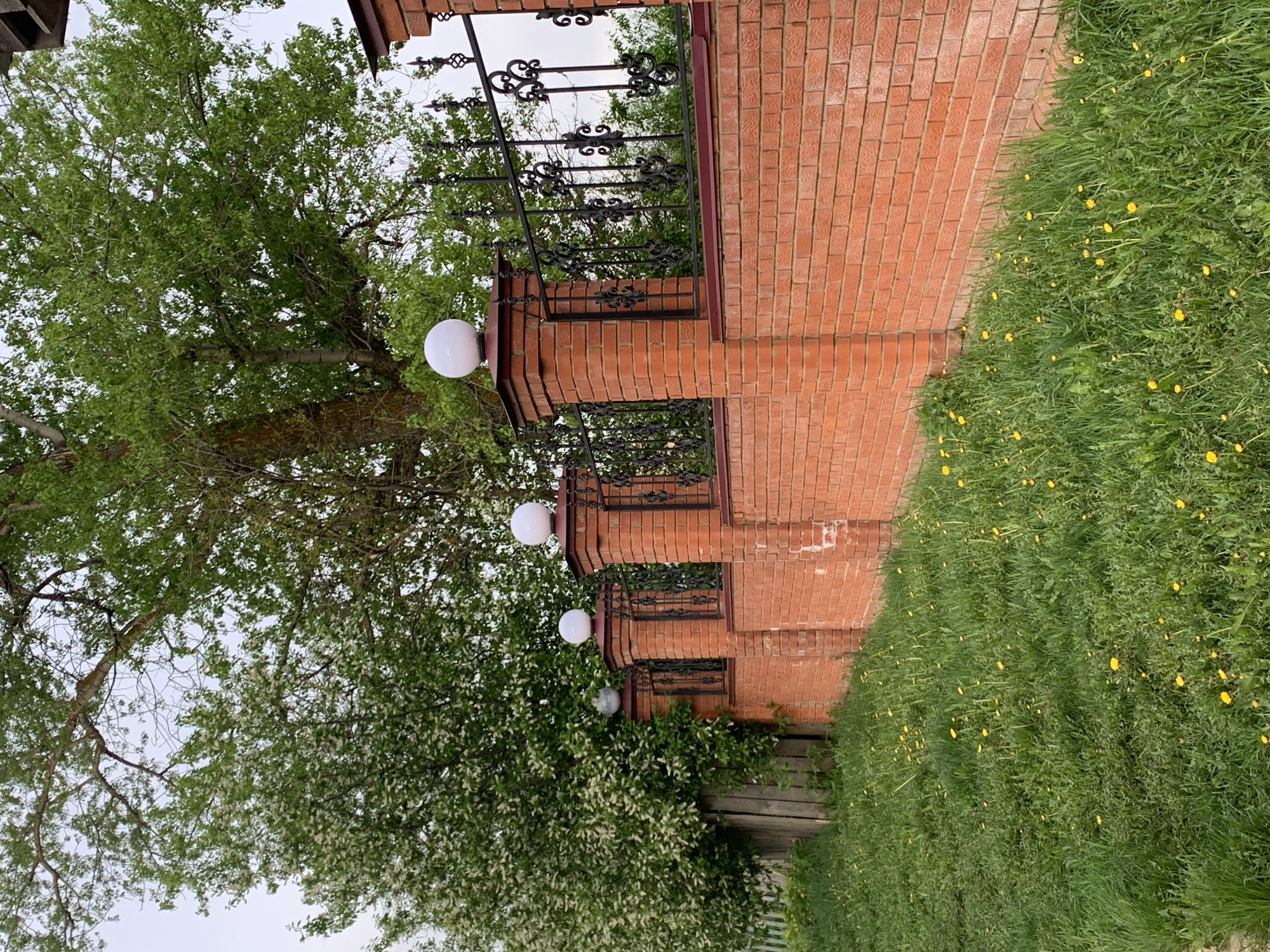 The image presents a scene outdoors, likely near a building in a residential area. The predominant colors are green and reddish-orange.
A brick structure, potentially a wall or part of a building, runs horizontally across the frame. Atop the brick structure is a decorative wrought-iron fence. Attached to the brick structure are several spherical light fixtures, appearing white.
To the left of the brick structure is a large tree with green leaves, partially obscuring the view of the sky. To the right of the brick structure is a grassy area with yellow flowers, likely dandelions.
The location is Фоки, Russia.
