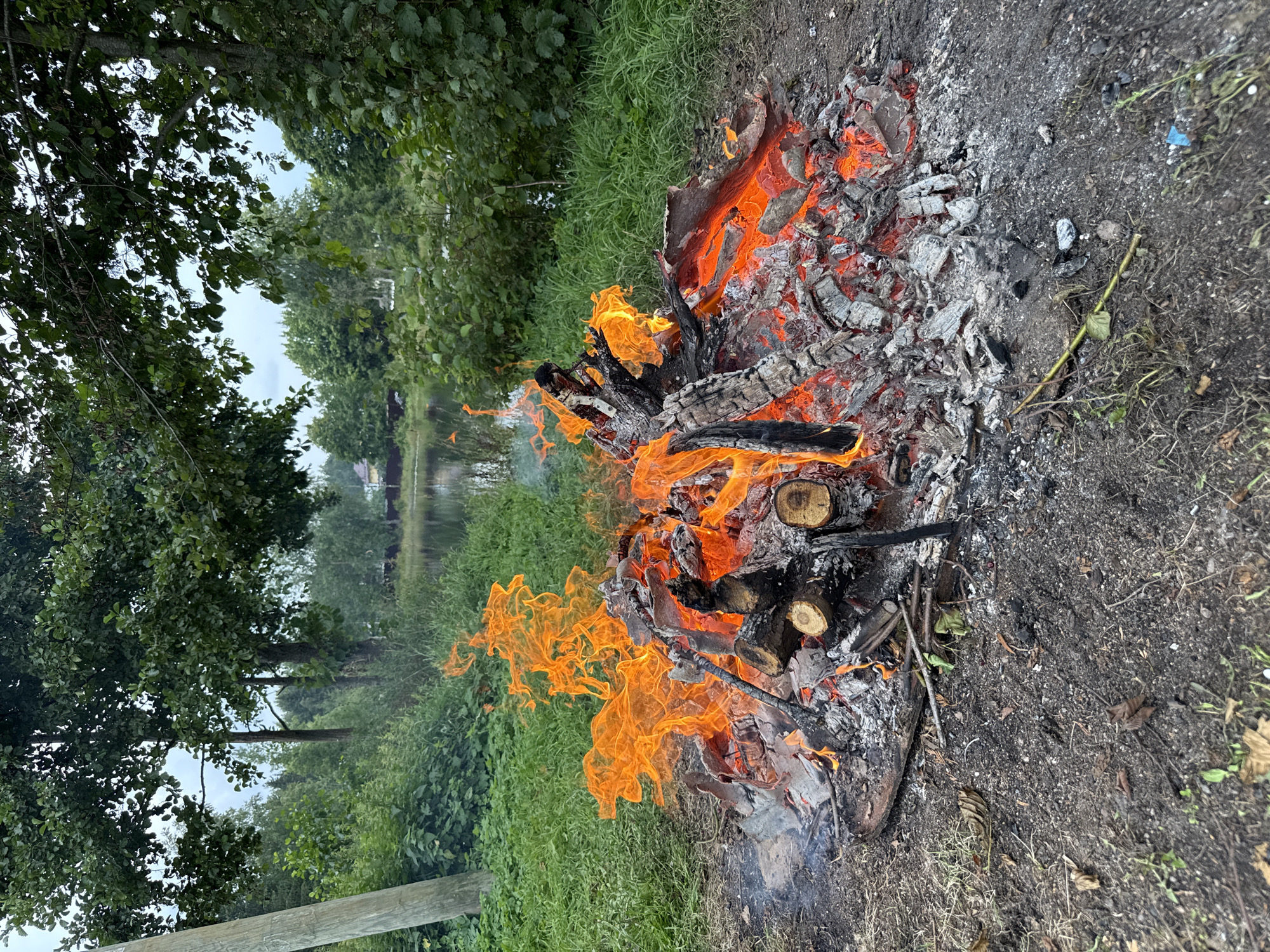 An outdoor campfire burns in the foreground, with orange flames licking at dark, charred logs and embers. The ground around the fire is composed of dirt, ash, and scattered twigs. Behind the fire, a body of water is visible, bordered by lush green grass and dense trees. In the distance, houses and more trees suggest a suburban or rural setting, possibly in the city of Irinovka, Russia. A wooden pole stands to the left of the frame, partially obscured by foliage. The sky above is overcast. There are no people or animals visible in the scene.