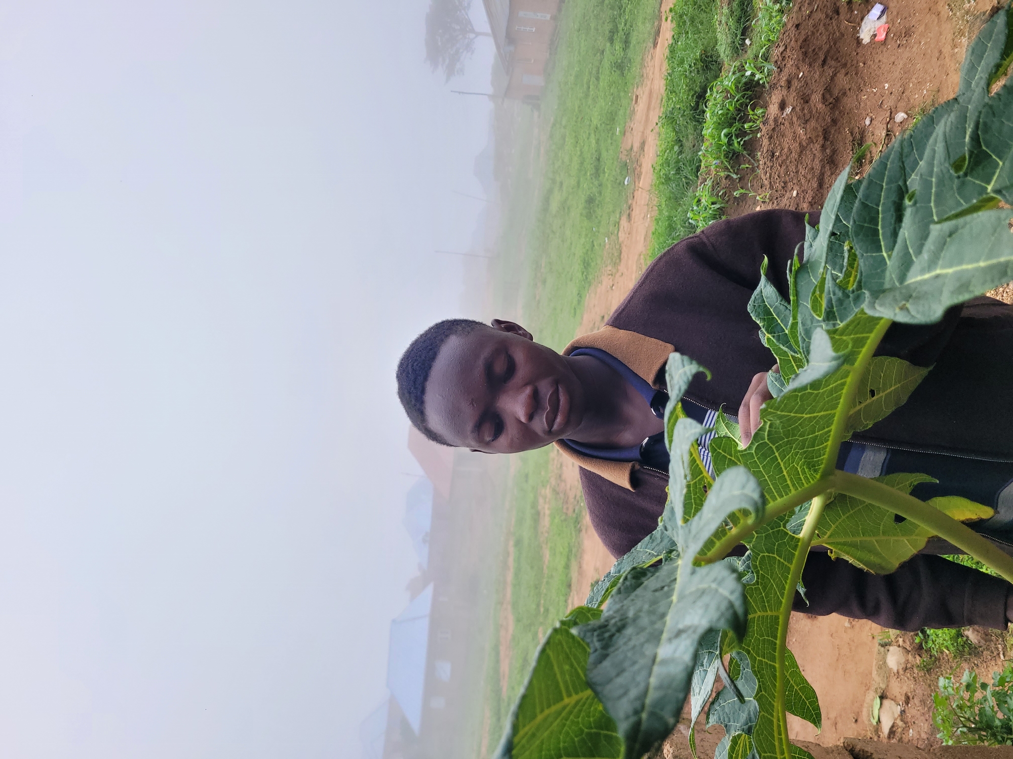 In Barakin Akawo, Nigeria, a young Black male is captured in a medium shot, standing in front of a misty landscape with several houses visible in the background. He is wearing a dark brown jacket over a collared shirt with blue and white stripes. His eyes are closed, and his head is tilted downwards, suggesting a moment of reflection or rest. In the foreground, a large, green plant with broad, deeply lobed leaves partially obscures the boy and the background. The ground is covered with reddish-brown soil and some patches of green vegetation. The overall atmosphere is subdued due to the pervasive fog.