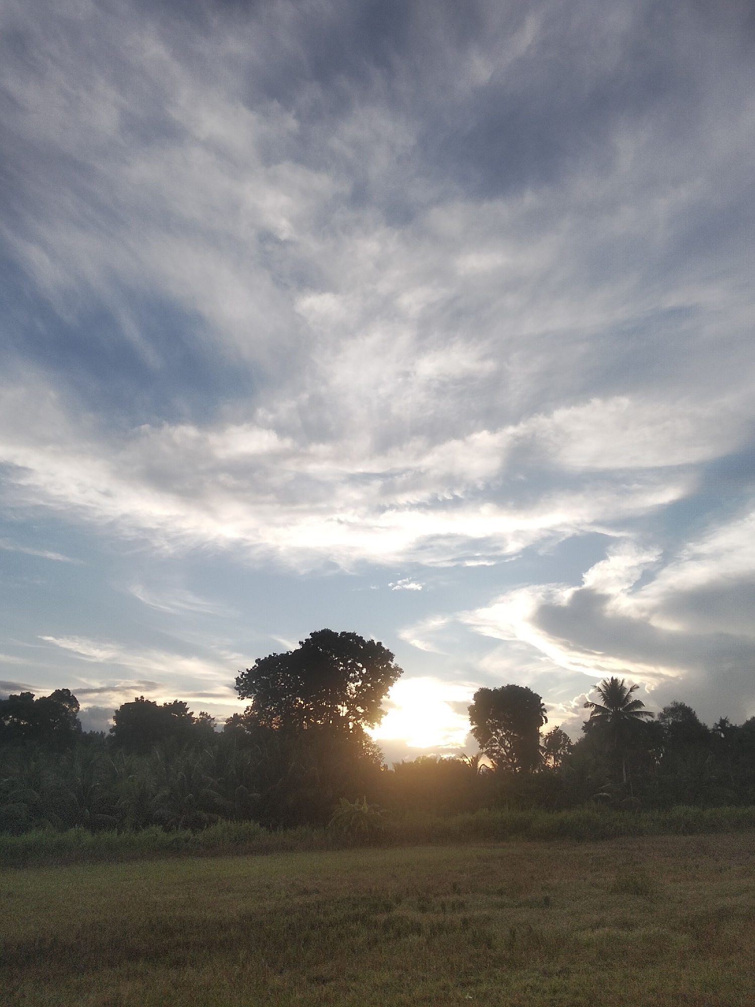 The image shows a landscape scene at dusk with a sunset. The sky is filled with wispy clouds, varying in shades of blue, grey, and white. The sun is partially visible, low on the horizon, casting a warm, golden glow through the trees and illuminating the clouds. In the foreground, there is a field of dry grass. Behind the field, a dense line of trees and foliage forms a silhouette against the sky, with several palm trees visible among them. The overall impression is one of tranquility and natural beauty. The location is identified as Kruenglingka Barat, Indonesia, suggesting this is a rural or natural setting within that area. There are no people or specific objects or actions depicted that would suggest a story or event.