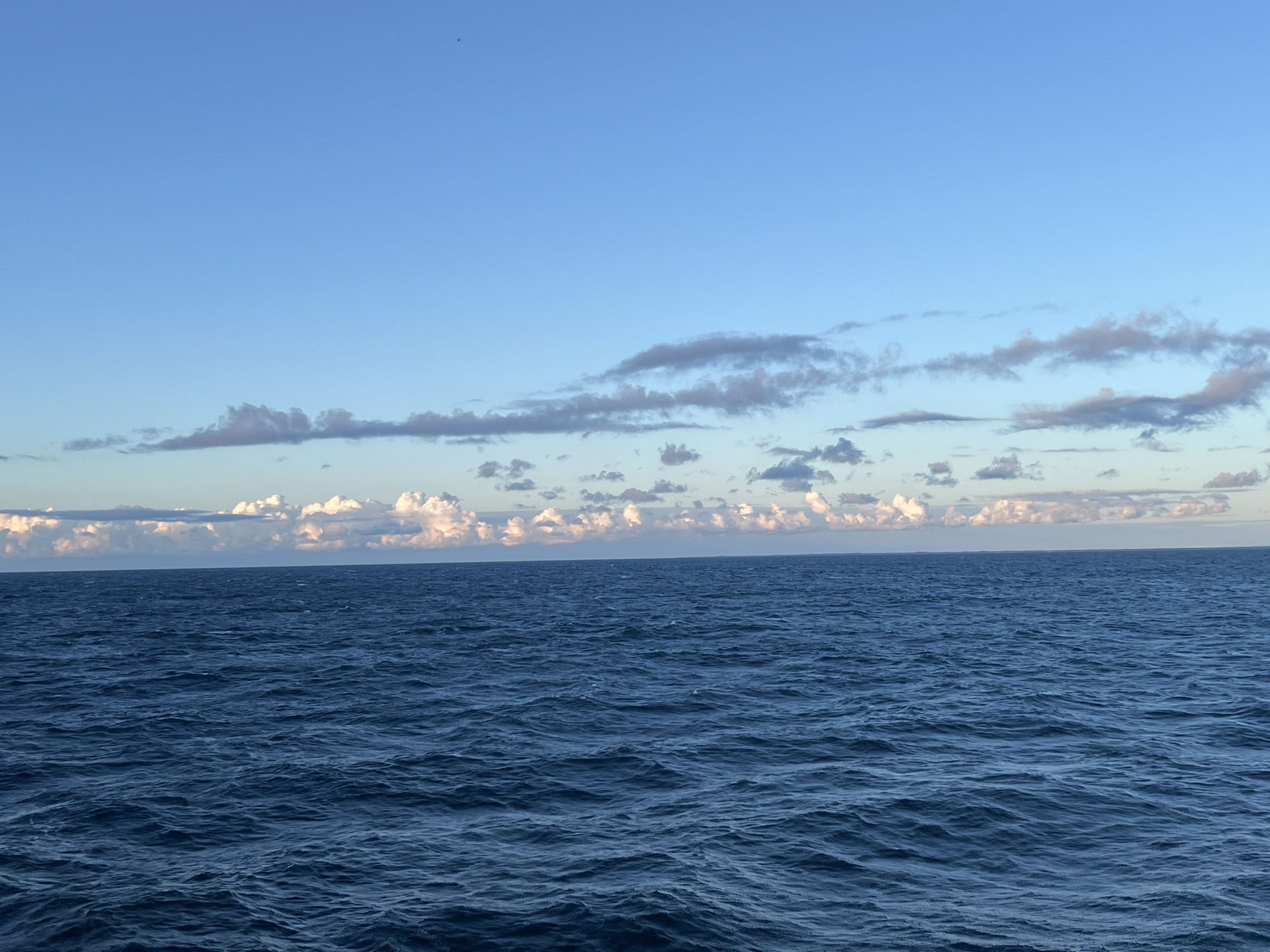 The image depicts a vast expanse of deep blue ocean under a clear sky transitioning to soft, wispy clouds near the horizon. The water's surface is textured with numerous small waves, creating a dynamic and undulating pattern. A faint line of cumulus clouds, illuminated with a pale pink and white hue, stretches across the horizon, suggesting either sunrise or sunset. The sky above is a gradient of light blue, becoming lighter near the horizon. A small, dark object, possibly a bird or insect, is visible in the upper left quadrant of the sky. The scene is devoid of any landmass, structures, or individuals, conveying a sense of solitude and natural grandeur. The specific location in the city of Unknown, Poland cannot be determined from the visual information provided.