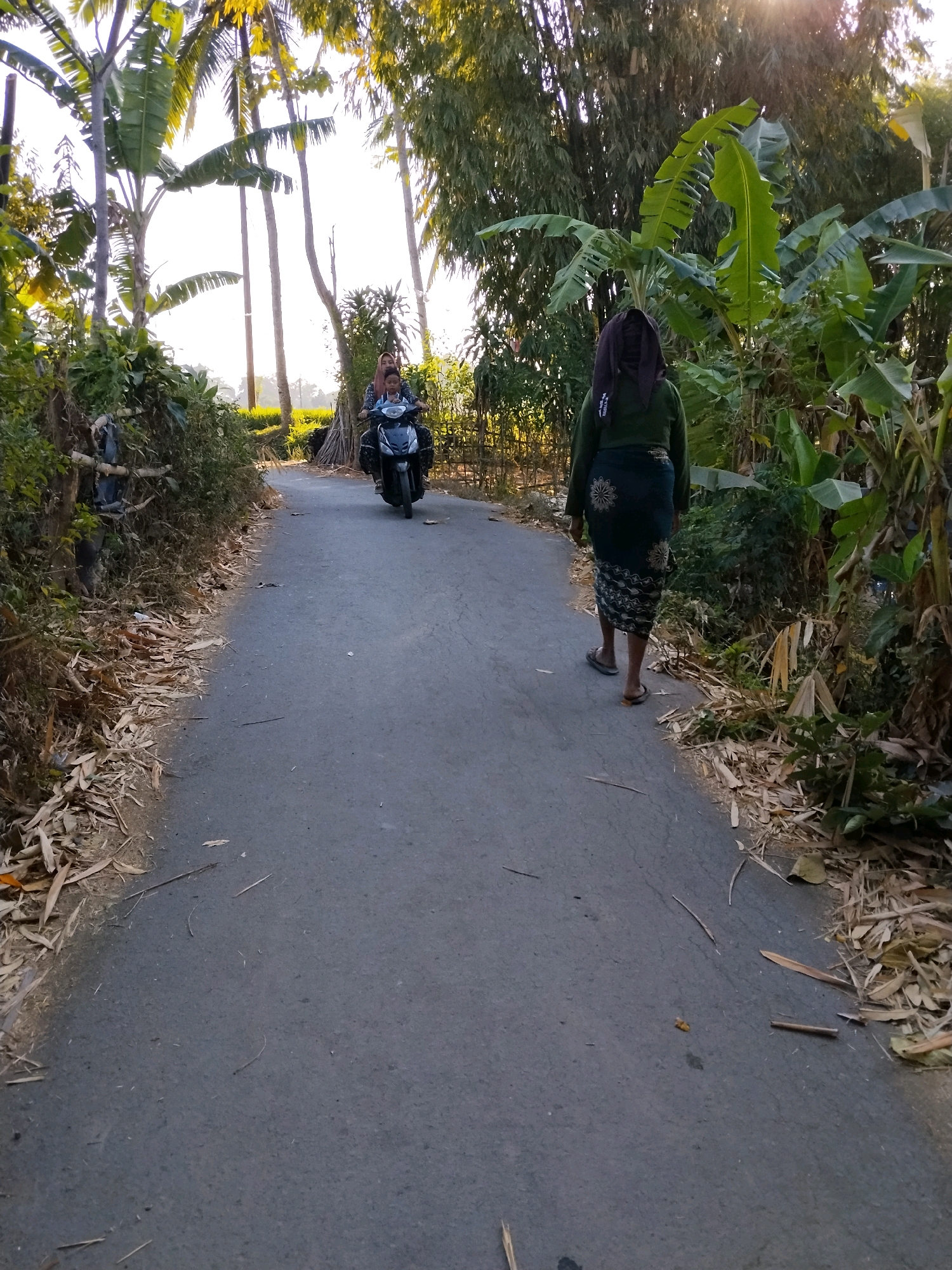 A medium-shot, eye-level, full-color photograph captures a rural road in Tlogosari, Indonesia, bathed in the warm glow of late afternoon sunlight filtering through palm and banana trees. The road, paved with asphalt and showing signs of wear, is flanked by lush green foliage and dry, fallen leaves.
In the foreground, a woman walks away from the camera, her back to the viewer. She wears a dark green long-sleeved shirt and a patterned dark skirt that reaches her ankles. Her hair is covered by a dark scarf. She is wearing flip-flops.
Further down the road, a scooter is being ridden by two individuals. The rider, a woman, is facing the camera, her head covered by a hijab. A child sits in front of her, facing forward, and is looking towards the camera. The scooter is dark in color and appears to have some luggage attached to the back.
The environment is tropical, with abundant vegetation including tall palm trees and large-leafed banana plants. The sun's rays are visible, creating a lens flare effect in the upper part of the image. The overall impression is one of a peaceful, everyday scene in a rural Indonesian setting.