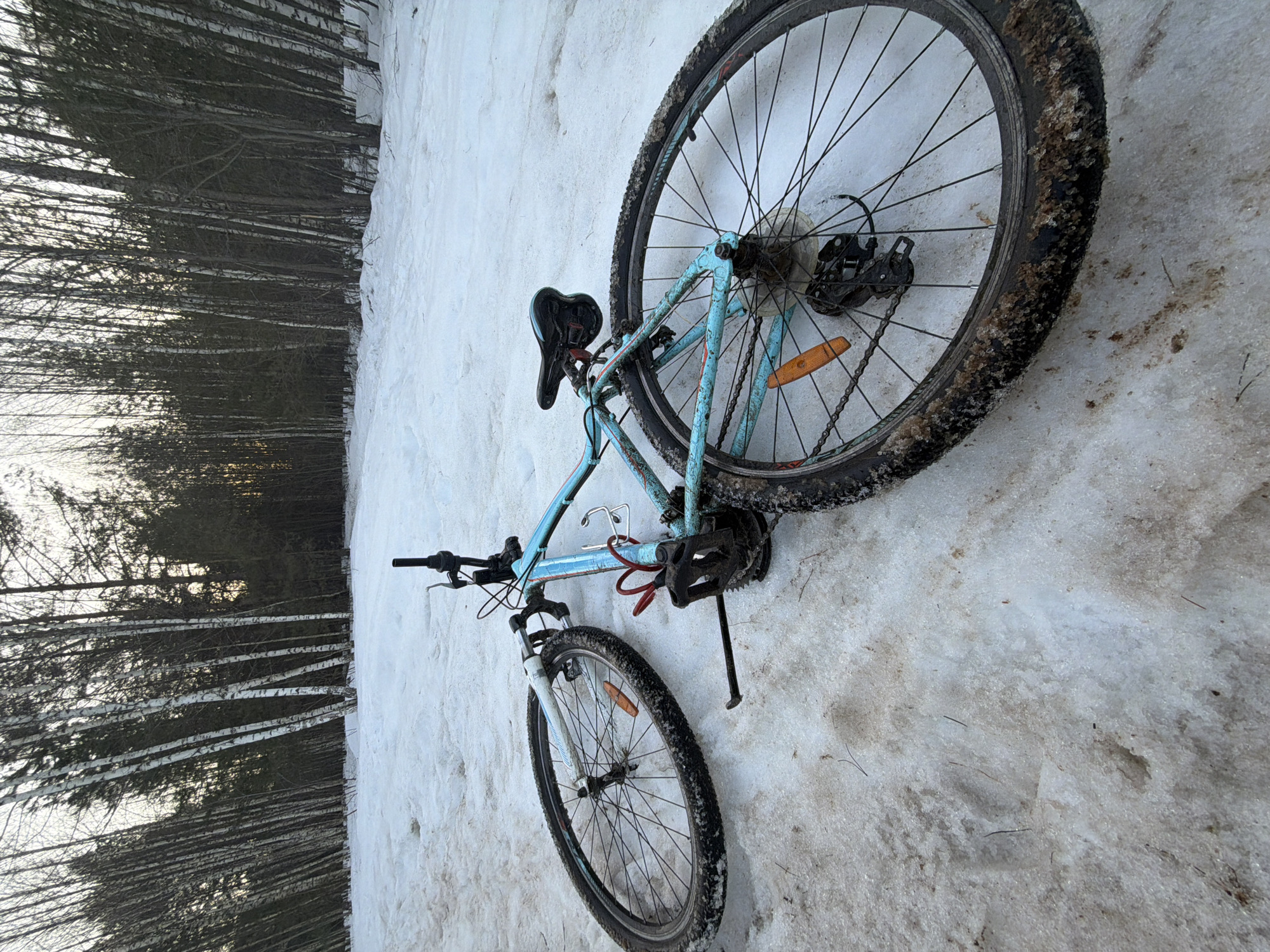 A light blue mountain bike lies on its side in the snow. The front and rear tires are covered in snow. The background consists of a line of trees. The location is Chaikovsky, Russia.
