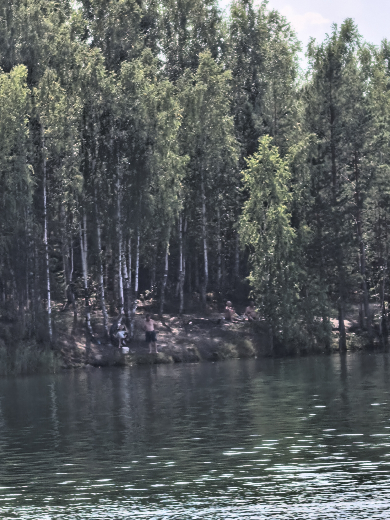 The image shows a forest bordering a body of water. There are several trees, primarily birch, lining the shore. In the foreground, the water is dark and reflects the trees. On the shore, there are a few people. One person, a man, is standing near the water's edge, wearing dark shorts. Another person, also a man, is seated further back in the trees. There are other individuals in the background, also appearing to be seated or resting on the ground. A white bucket is visible near the standing man. The overall scene suggests a natural, outdoor setting where people are relaxing by the water. This location is likely a park or recreational area in Asbest, Russia, given the birch trees which are common in the region.