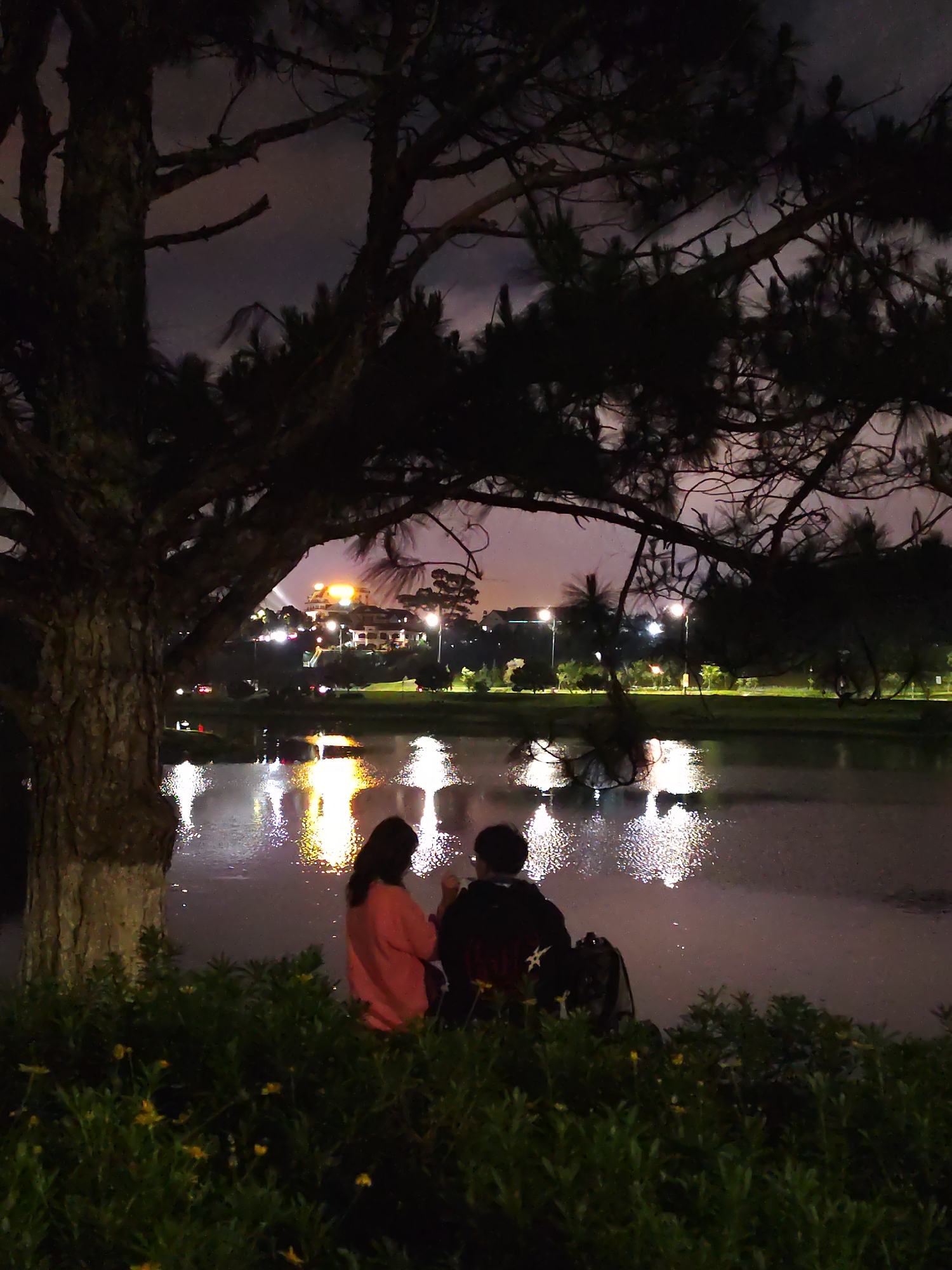 Two people sit near the edge of Xuan Huong Lake in Da Lat, Vietnam, at night. The individuals are partially obscured by greenery and a tree. Their backs are visible; one wears a pink shirt and the other a dark-colored top with a backpack nearby. The lake reflects city lights, which consist of distant buildings and street lamps. The sky above is cloudy.