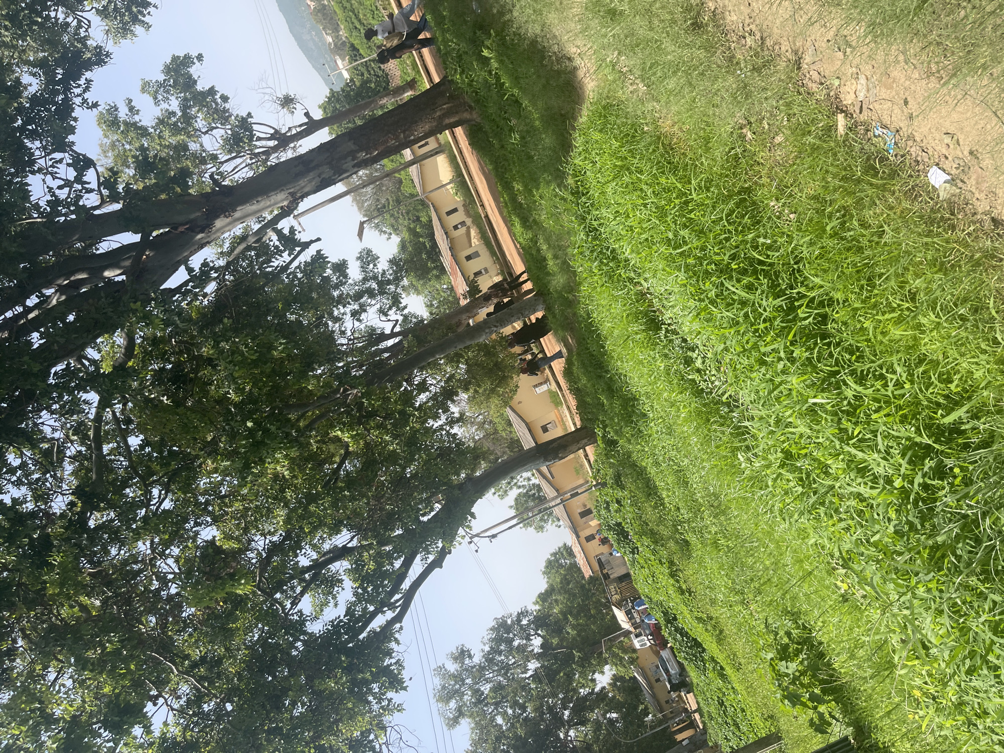 The image depicts a sunlit scene in Rafin Par, Nigeria, likely during the daytime. In the foreground, a lush expanse of green grass stretches diagonally across the frame. To the left, a row of large trees with dense foliage dominates the scene, their branches reaching towards the sky. Behind the trees, a light yellow, single-story building with visible windows runs parallel to the grassy area.
Several people are present in the image. On the far left, silhouetted against the bright sky, two individuals appear to be walking. Further along the building, a group of people are standing or walking. In the middle ground, several figures can be seen near the building, and in the lower right section of the image, there is a cluster of people near what appear to be vehicles or structures.
The setting suggests an outdoor area adjacent to a building, possibly a school, community center, or residential complex. The bright sunlight indicates fair weather. Power lines are visible stretching across the sky, suggesting the presence of infrastructure. The overall atmosphere appears to be one of everyday activity. There is no visible text in the image.