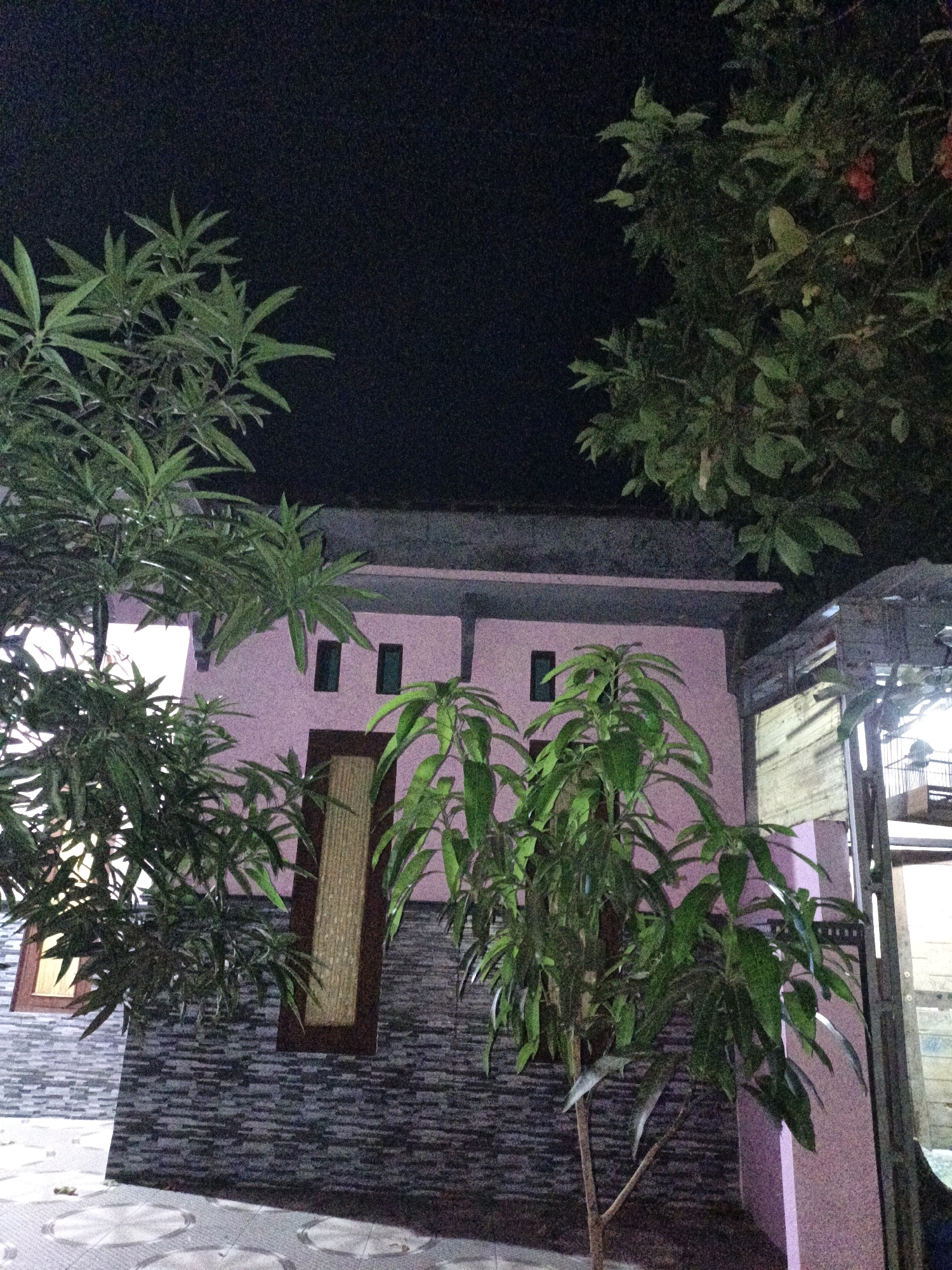 An exterior night shot captures a two-story pink house with a dark roof. The house has multiple rectangular windows, some with dark frames and others with yellow shutters. The lower part of the house is clad in dark grey brick. In front of the house, several leafy green trees are visible. To the right, a portion of a structure with a corrugated metal roof and a wooden slatted wall is present. The foreground features a patterned tiled walkway. The image appears to be taken in a residential area in Cikal, Indonesia. There are no people or animals visible in the frame.