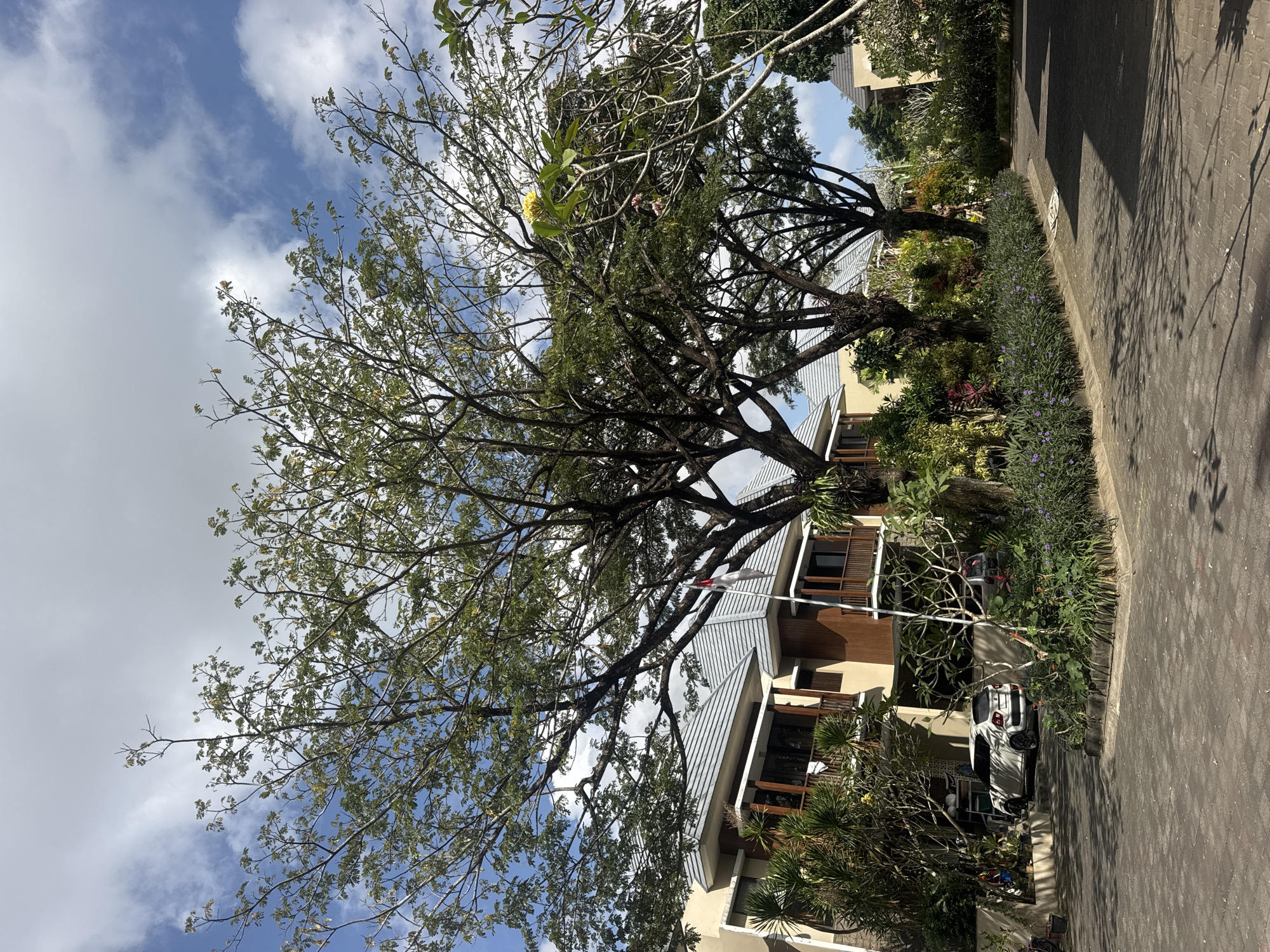 The image depicts a residential street in Kuta Selatan, Indonesia, on a bright, partly cloudy day. The foreground is paved with dark grey interlocking bricks, casting long shadows from palm fronds. A white hatchback car is parked on the left side of the paved area, near the entrance to a residential building.
The buildings are two-story structures with light brown and beige exteriors, gray tiled roofs, and wooden balconies and window frames. A flagpole with the Indonesian flag, red over white, stands prominently between two of the buildings. Lush green foliage and flowering plants, including purple flowers and broad-leafed plants, line the pathway and surround the buildings, contributing to a tropical atmosphere.
Several large trees with dense green canopies dominate the upper and middle portions of the image, providing shade. The sky is a vibrant blue with scattered white clouds. The scene appears to be a well-maintained private residential complex. No people are visible in the image.
