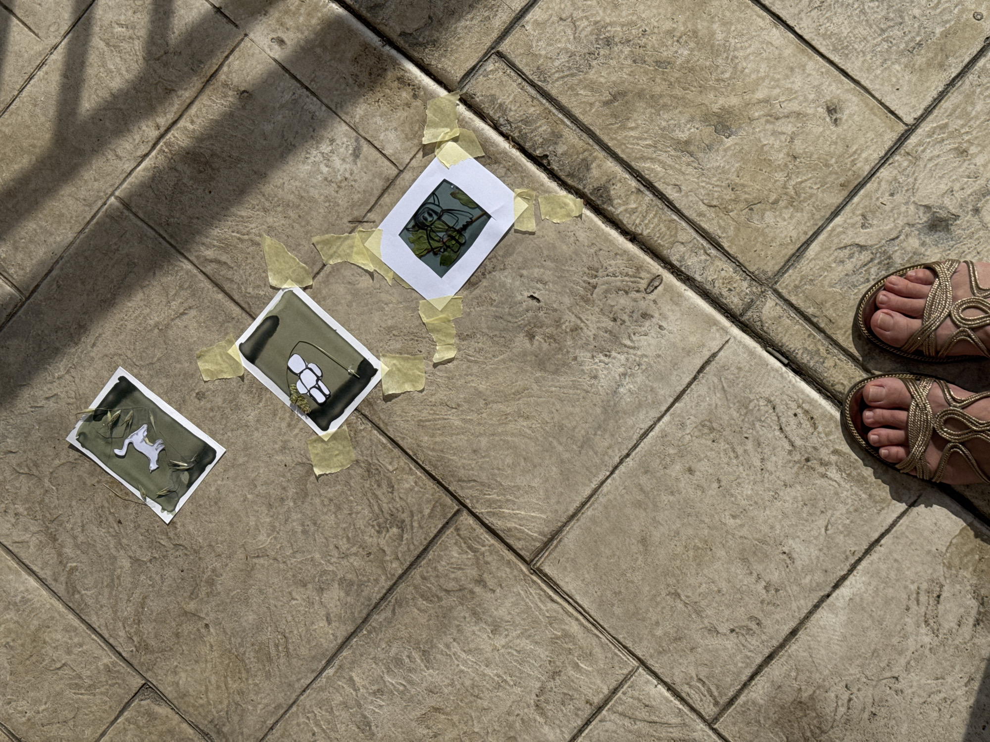 The image shows a section of stone-tiled ground, likely in an outdoor area. Three small, rectangular pictures are taped to the ground with masking tape. The images appear to be art or illustrations. The picture on the left depicts a white animal, possibly a dog, on a dark green background with dry grass. The center picture features a green background with white flowers. The picture on the right shows a green background with a dark bug. In the upper right corner of the image are two feet wearing gold-colored sandals. The setting is likely Budva, Montenegro, but no specific location information is present.