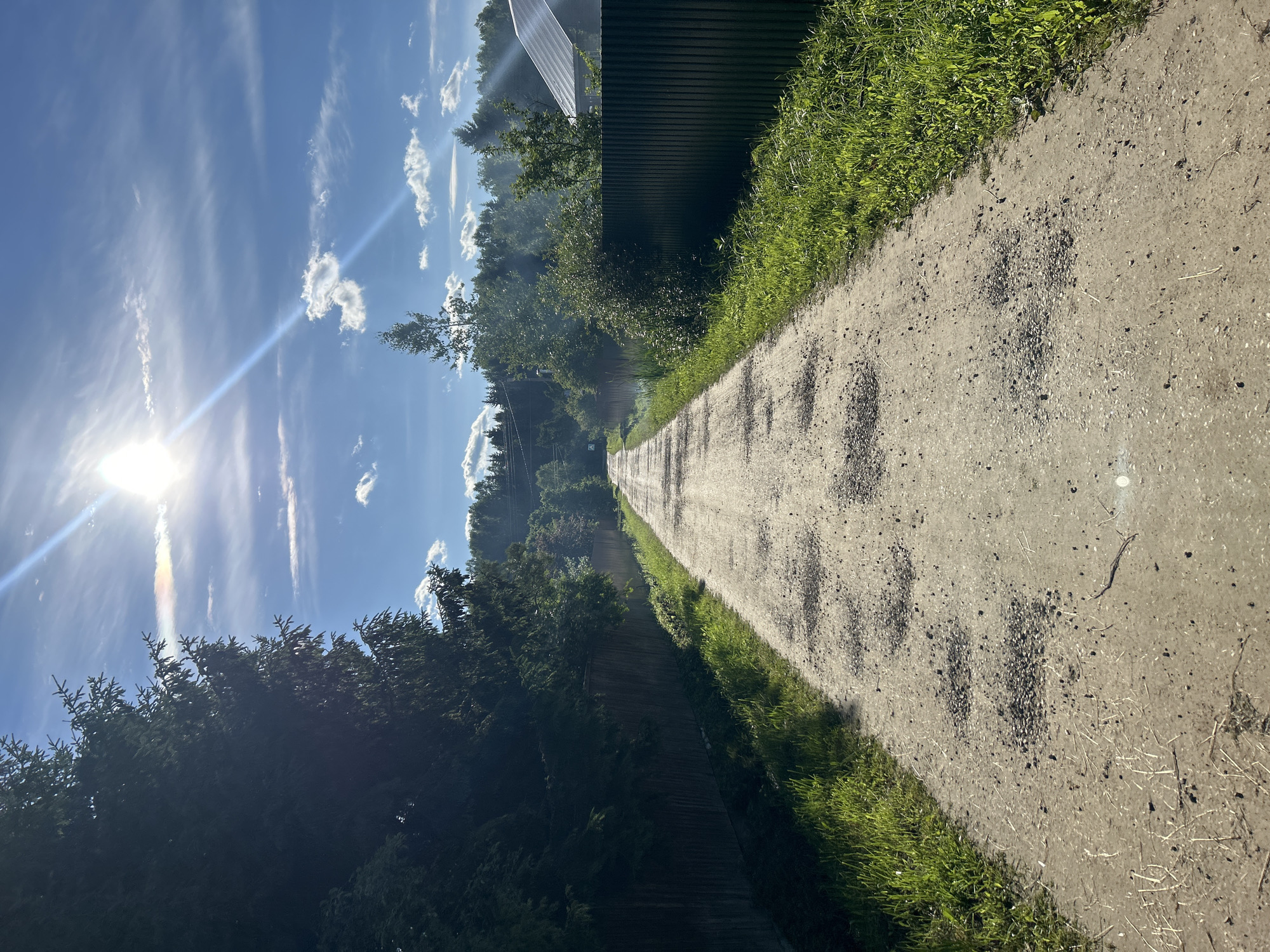 The image depicts a long, unpaved country road in the village of Слава Снт, Russia, extending into the distance under a bright, sunny sky with scattered clouds. Tall evergreen trees line the left side of the road, casting a shadow over a wooden fence. The right side of the road features a dark metal fence, overgrown with vibrant green grass. The road surface is rough and uneven, with patches of gravel and debris scattered across it. In the distance, the road appears to curve slightly, leading towards a dense forest bordering a few scattered houses. The sun is high in the sky, with its rays creating a lens flare and a faint rainbow effect in the clouds. There are no people visible in the image, and no actions are taking place. The overall scene is a serene, rural landscape bathed in the warm light of a summer day.