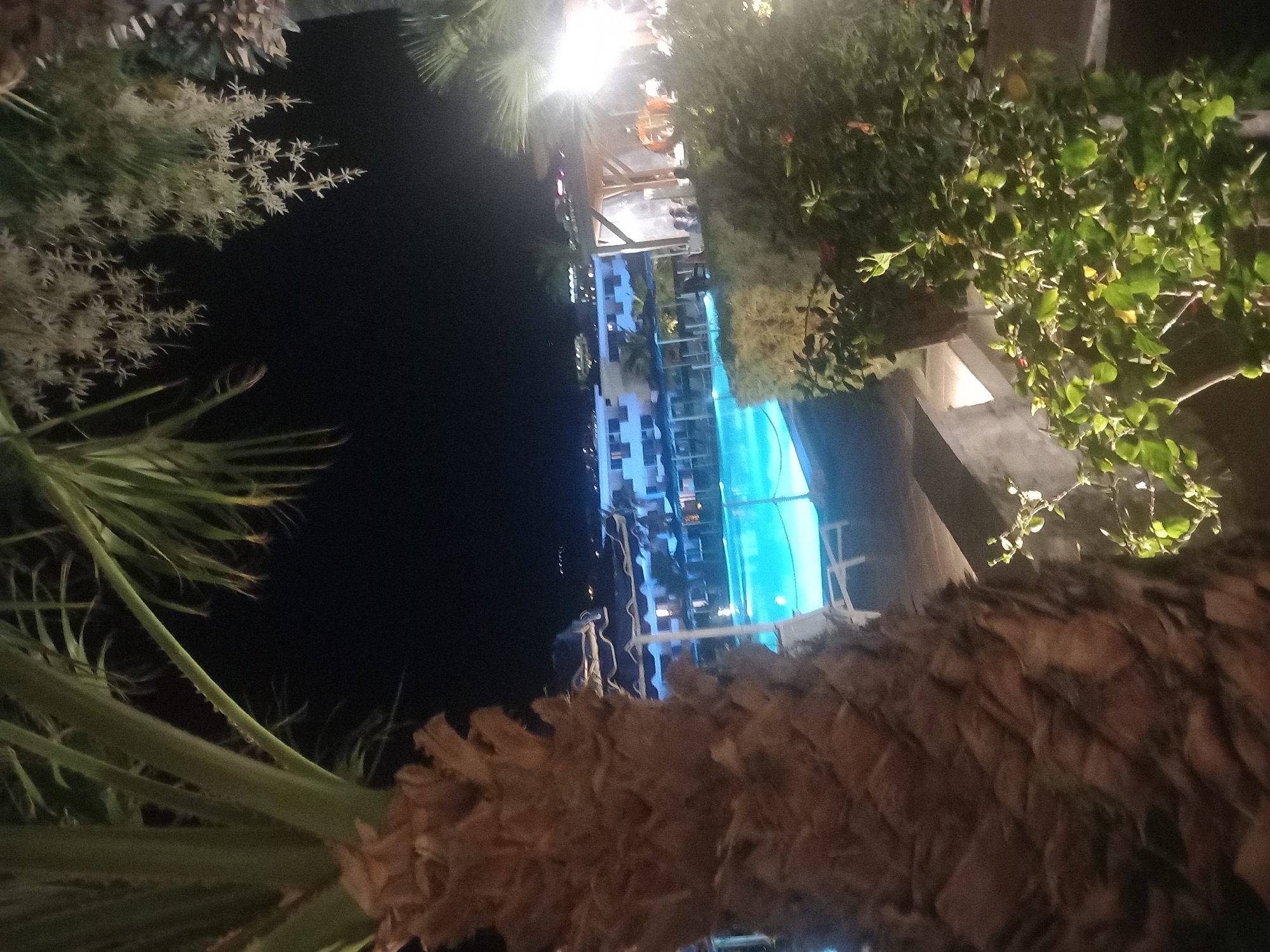 The image depicts a nighttime scene at a resort or hotel in Kos, Greece. In the foreground, the textured trunk of a palm tree is visible, with lush green foliage and palm fronds extending upwards and to the left. The background reveals a brightly lit swimming pool with turquoise water, surrounded by lounge chairs. Beyond the pool, a multi-story building with illuminated windows is visible, indicating guest accommodations. There are also people gathered under a covered seating area near the pool, suggesting a social gathering or dining experience. The overall ambiance is one of a tropical vacation destination at night.