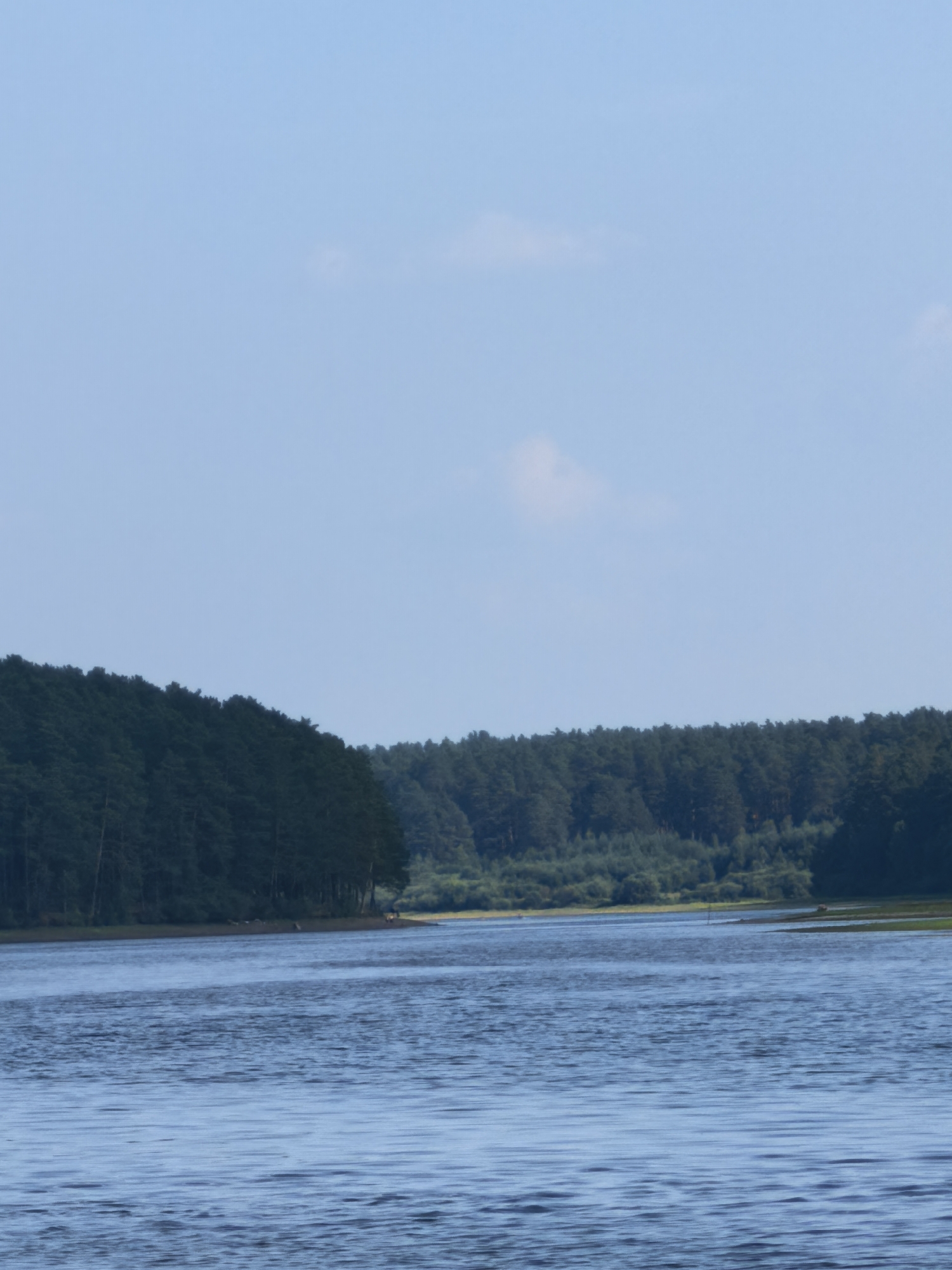 A wide, blue body of water stretches across the foreground, with gentle ripples disturbing its surface. The water reflects the clear, pale blue sky above, which is marked by a few wispy clouds. The middle ground of the image is dominated by a dense, dark green forest that lines the distant shore. The trees are tall and appear to be pines or similar evergreens, creating a thick, unbroken canopy.
The shoreline itself is mostly obscured by the trees, but in a few places, lighter green vegetation and a strip of lighter-colored land are visible. There are no people or man-made objects clearly identifiable in the scene. The overall impression is one of a natural, serene landscape.
The lighting suggests it is daytime, likely late morning or afternoon, given the brightness and the angle of the light. The weather appears calm and fair, with a clear sky. The location appears to be a lake or a wide river surrounded by forest, typical of a natural park or wilderness area. The absence of any specific landmarks makes it difficult to pinpoint an exact location, but the mention of Sysert, Russia, provides geographical context. There is no visible text in the image.