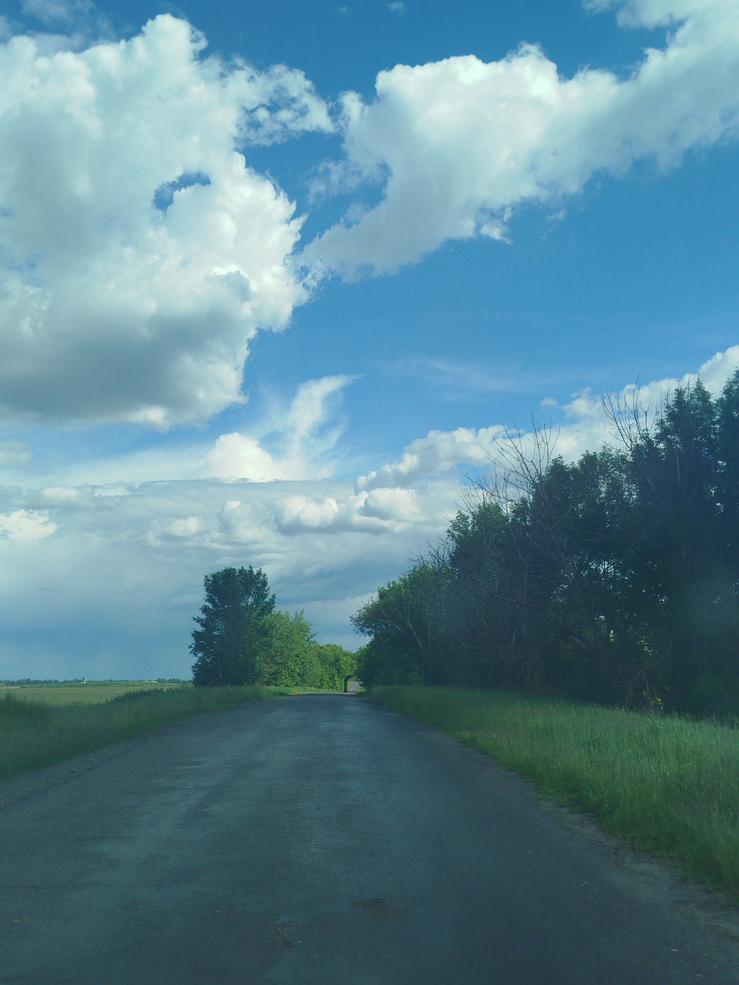 The image depicts a rural road in the vicinity of Ruda, Ukraine. The asphalt road stretches into the distance, slightly damp and showing signs of wear. Vegetation, primarily tall grass and trees, flanks both sides of the road. The trees on the right-hand side appear mature, while on the left, there is a cluster of shorter trees in the distance. The sky is partly cloudy with a mix of white and gray clouds against a blue backdrop. Overall, it is a remote setting without visible human activity.