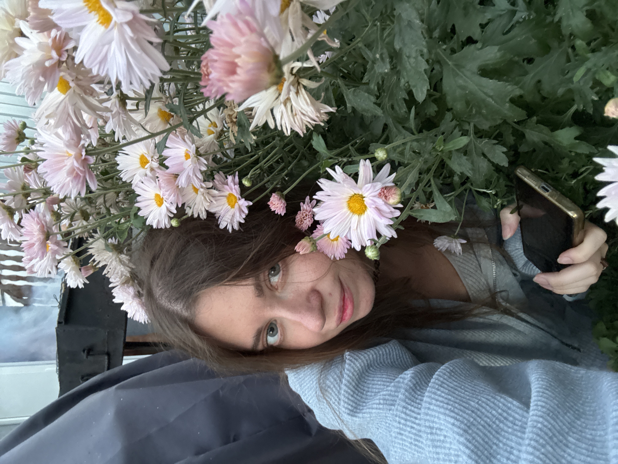 A young woman with long brown hair and blue eyes is pictured in an outdoor setting, possibly a garden or backyard in Sol-Iletsk, Russia. She is wearing a light blue knitted cardigan over a white top. The woman is holding a smartphone in her right hand and is partially obscured by a cluster of pale pink and white chrysanthemums. The flowers are in full bloom, with some buds also visible. In the background, a dark gray tarp covers an object, and a black grill-like structure is faintly visible. The lighting suggests it is either dawn or dusk.
