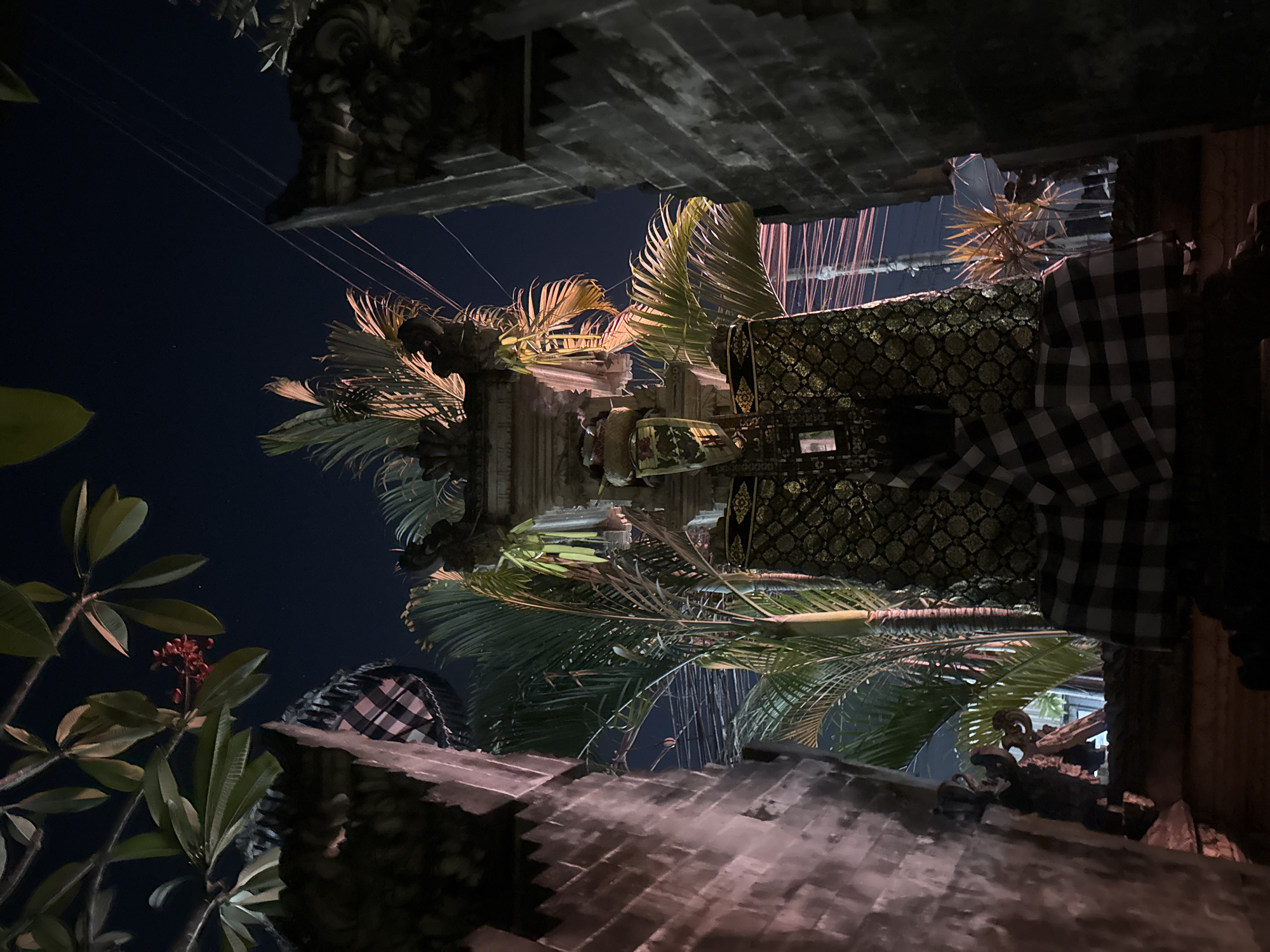 This is a nighttime shot taken outdoors, likely in Denpasar, Indonesia, given the context. The image is oriented vertically and appears to be taken from a low angle, looking upwards.
The scene is dominated by several prominent elements. In the foreground, there are dark, layered structures that resemble rooftops, possibly made of wood or stone with a textured surface. These structures are partially obscured by lush green foliage, including large leaves and what appear to be palm fronds. One plant has a cluster of small, dark red buds or flowers.
Behind the foliage, an ornate structure is visible, likely a temple or a traditional building. This structure has intricate carvings and is adorned with a dark fabric that has a patterned gold design. A black and white checkered fabric is also draped over some parts of the scene, a common sight in Balinese offerings and attire.
The sky is a deep, dark blue, indicative of nighttime. There are visible lines, possibly electrical wires or strings of lights, stretching across the sky in the background. The lighting in the scene is atmospheric, with some areas illuminated by artificial lights that cast warm tones on the leaves and structures, while other areas are in deep shadow.
There are no discernible people in the image, nor is there any text visible. The overall mood is serene and somewhat mysterious, enhanced by the darkness and the exotic, traditional architectural elements. The presence of tropical plants and the distinctive checkered fabric strongly suggest a Southeast Asian, possibly Balinese, setting.
