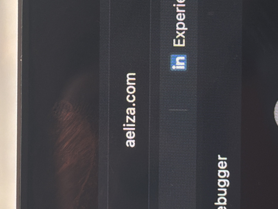 The image displays a close-up view of a digital screen, likely a computer monitor or laptop. No physical location in the city of London, United Kingdom, or any other physical environment, is discernible from the visual information provided.
The screen exhibits a dark background with visible pixelation. The upper portion shows a blurry, dark reddish-brown abstract pattern or background image. Below this, horizontally centered, white text reads "aeliza.com". Further down, a second line of text is partially visible. On the left, the incomplete word "ebuffer" is present, likely part of "debugger". On the right, a blue square icon containing the white letters "in" (the LinkedIn logo) is visible, followed by the partial word "Experie", suggesting "Experience". No individuals are present, and no actions or interactions are depicted.