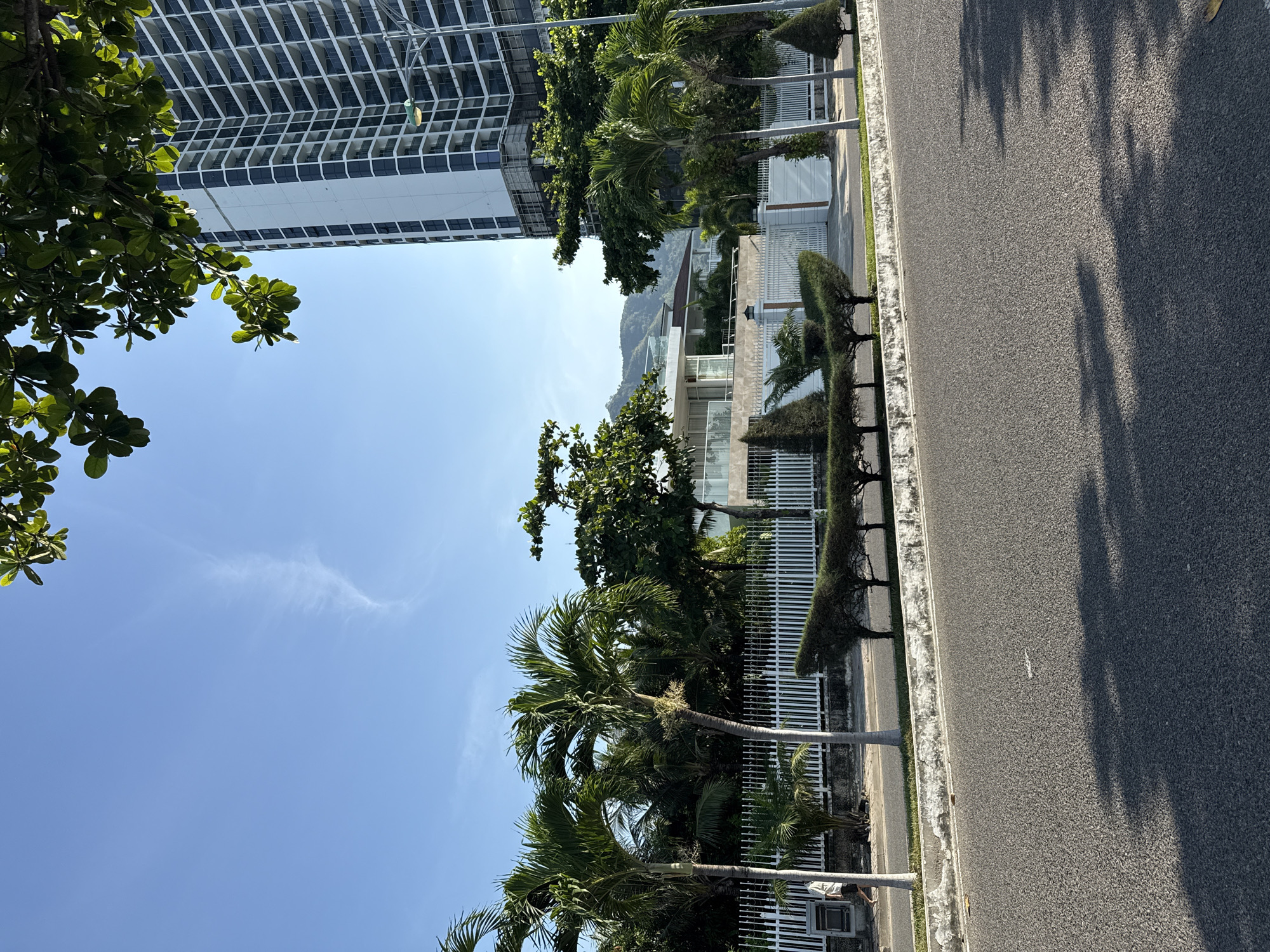 A clear, sunny day illuminates a street scene in Bac Nha Trang Ward, Vietnam. In the foreground, an asphalt road stretches across the frame, with dark tree shadows cast upon it from the right. A concrete curb separates the road from a sidewalk lined with neatly trimmed, dark green bushes and trees. Behind the greenery, a white fence encloses a property with a modern, white building featuring glass balconies and a flat roof. To the right of this building, a tall, multi-story residential tower with numerous glass balconies dominates the background. Palm trees and other lush vegetation are visible throughout the scene, suggesting a tropical or subtropical environment. A lone figure, wearing a light-colored shirt and shorts, walks along the sidewalk on the left side of the image. The sky is a bright blue with a few wispy white clouds. In the distance, a hazy mountain range can be seen.