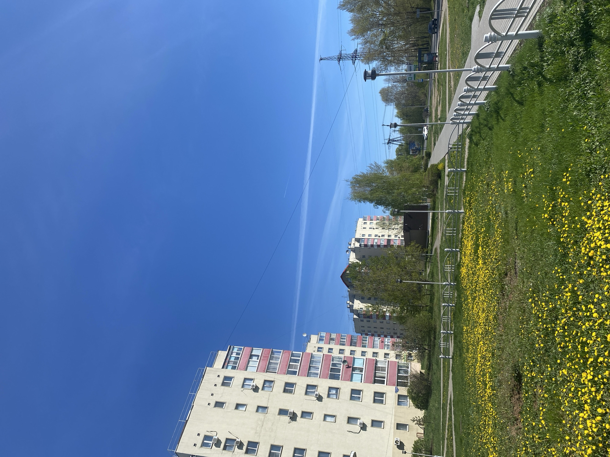 The image depicts a street scene in what appears to be a residential area. Several high-rise apartment buildings with a repetitive window pattern and some pink detailing are visible. A clear, blue sky dominates the upper part of the image, marked by what appears to be a contrail from an aircraft.
On the right side of the image is a grassy area filled with yellow flowers, likely dandelions. A metal bike rack runs along the edge of a paved path. Power lines and utility poles are positioned above the buildings and along the street. Trees are also visible along the right side of the image.
Given the location, the scene is likely in the city of Chaikovsky, Russia. No people are directly visible in the shot. The scene conveys a sense of urban life amidst greenery on a sunny day.