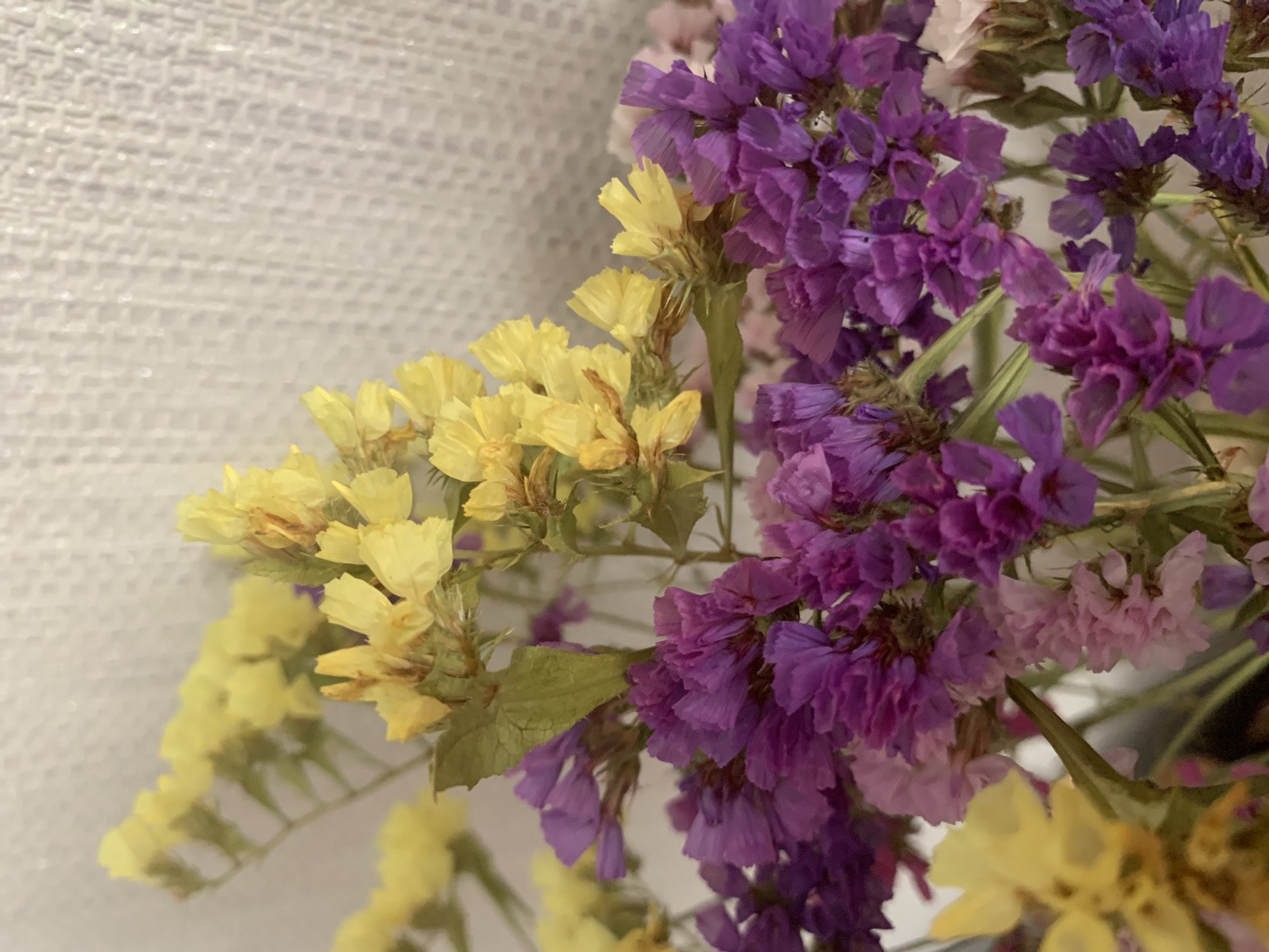 This is a close-up, high-angle shot of a bouquet of dried flowers. The bouquet consists of small, delicate flowers in shades of yellow, purple, and pink. The yellow flowers are clustered at the top, with some appearing slightly wilted. The purple flowers are more numerous and form dense clusters towards the bottom and middle of the image. There are also some lighter pink flowers interspersed within the purple clusters. The flowers are arranged on thin, green stems. The background is a light, textured surface, possibly a wall or fabric, with a subtle woven pattern. The lighting is soft, with no harsh shadows. No people or specific location in Kapyĺ, Belarus are visible or discernible in this image. The image focuses solely on the arrangement of the dried flowers.