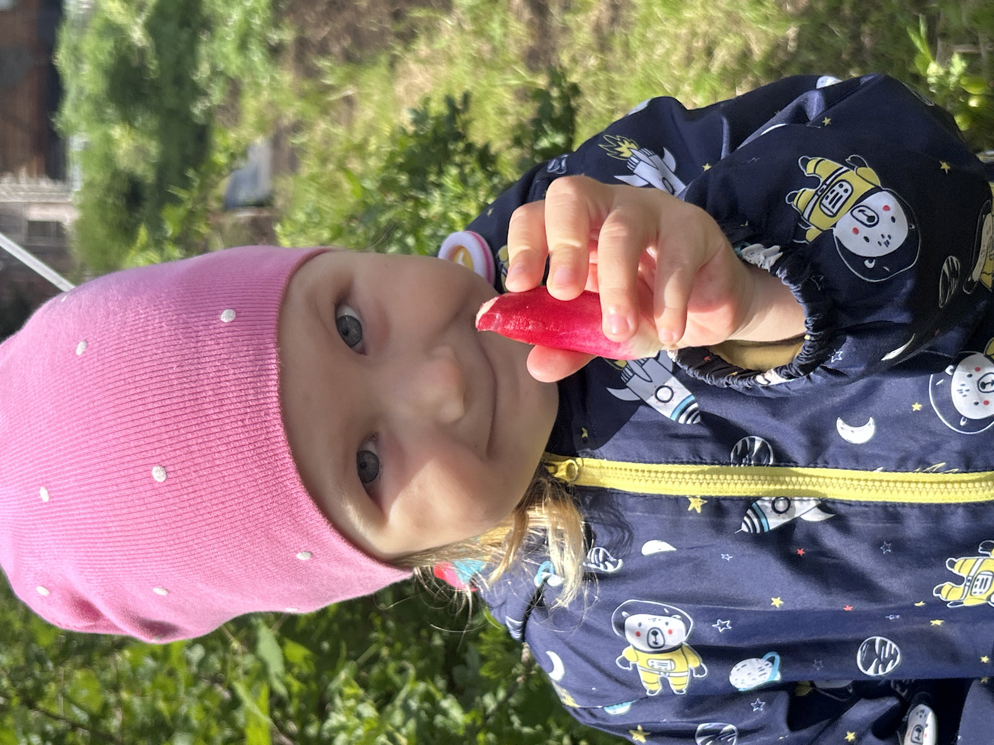 A small child is outdoors in a grassy area. The child is wearing a pink hat with white polka dots and a blue jacket with a yellow zipper and cartoon astronaut designs. The child is holding a red radish. The child appears to be partially backlit and is facing the camera. Some trees are visible in the background. A partial view of a structure is visible. The exact location is not determinable from this image alone.