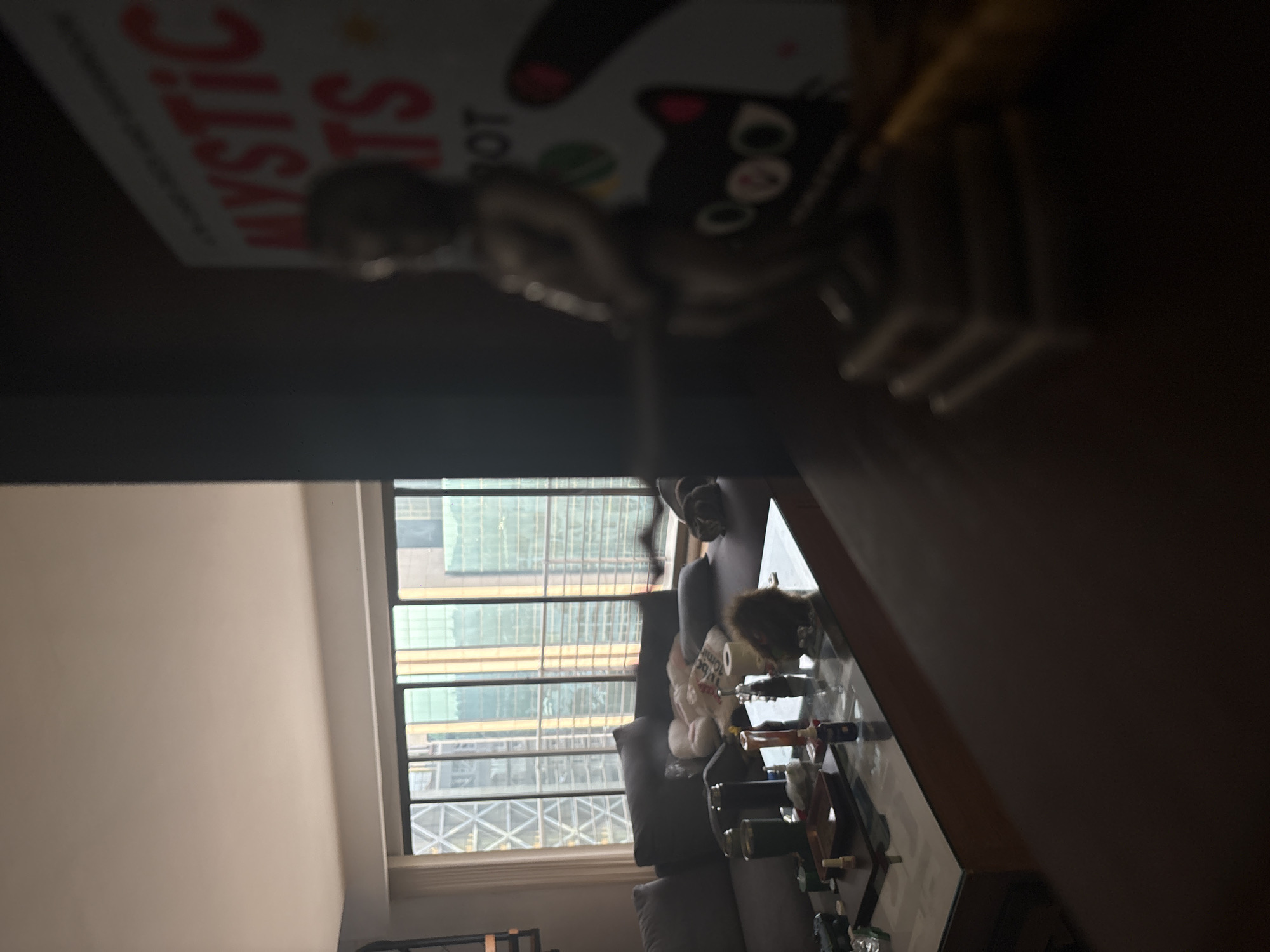 A low-angle indoor shot with a distorted perspective focuses on a living room scene. The left of the frame shows part of a white wall. The central focus is a large window with a grid pattern, offering a view of tall buildings with glass facades. The building exterior suggests an urban environment, potentially Mexico City, Mexico. A gray sofa is positioned near the window. A coffee table sits in front of the sofa. On the coffee table are various items, including what appears to be a box of tissues, bottles, decorative objects, and possibly a small decorative animal figurine. A book is at the top left of the image. The dominant colors are gray, white, and brown. The room receives natural light through the window, creating shadows. The overall atmosphere is casual and lived-in.