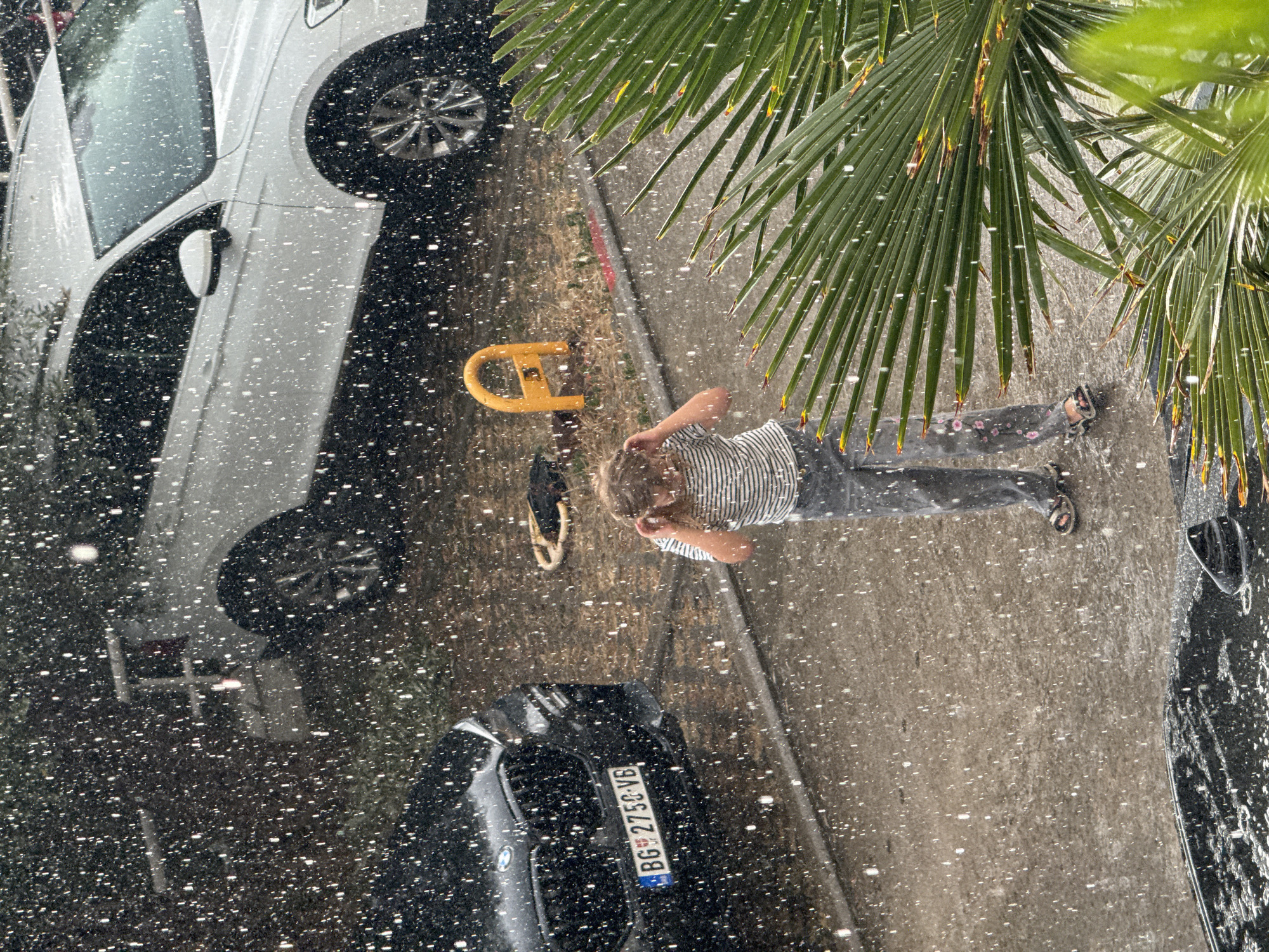 In the city of Trap, Montenegro, during a rain shower, a young individual with blonde hair, wearing a striped t-shirt and patterned pants, stands on a paved area. The individual is facing away from the camera, with their hands near their head, possibly shielding themselves from the rain. Two cars are visible: a black BMW parked on the left and a white Volkswagen parked behind it. The ground is wet from the rain, and water droplets are visible in the air, creating a blurred effect. A palm tree is in the foreground on the right, with its fronds partially obscuring the view. A yellow parking bollard is also present in the background.