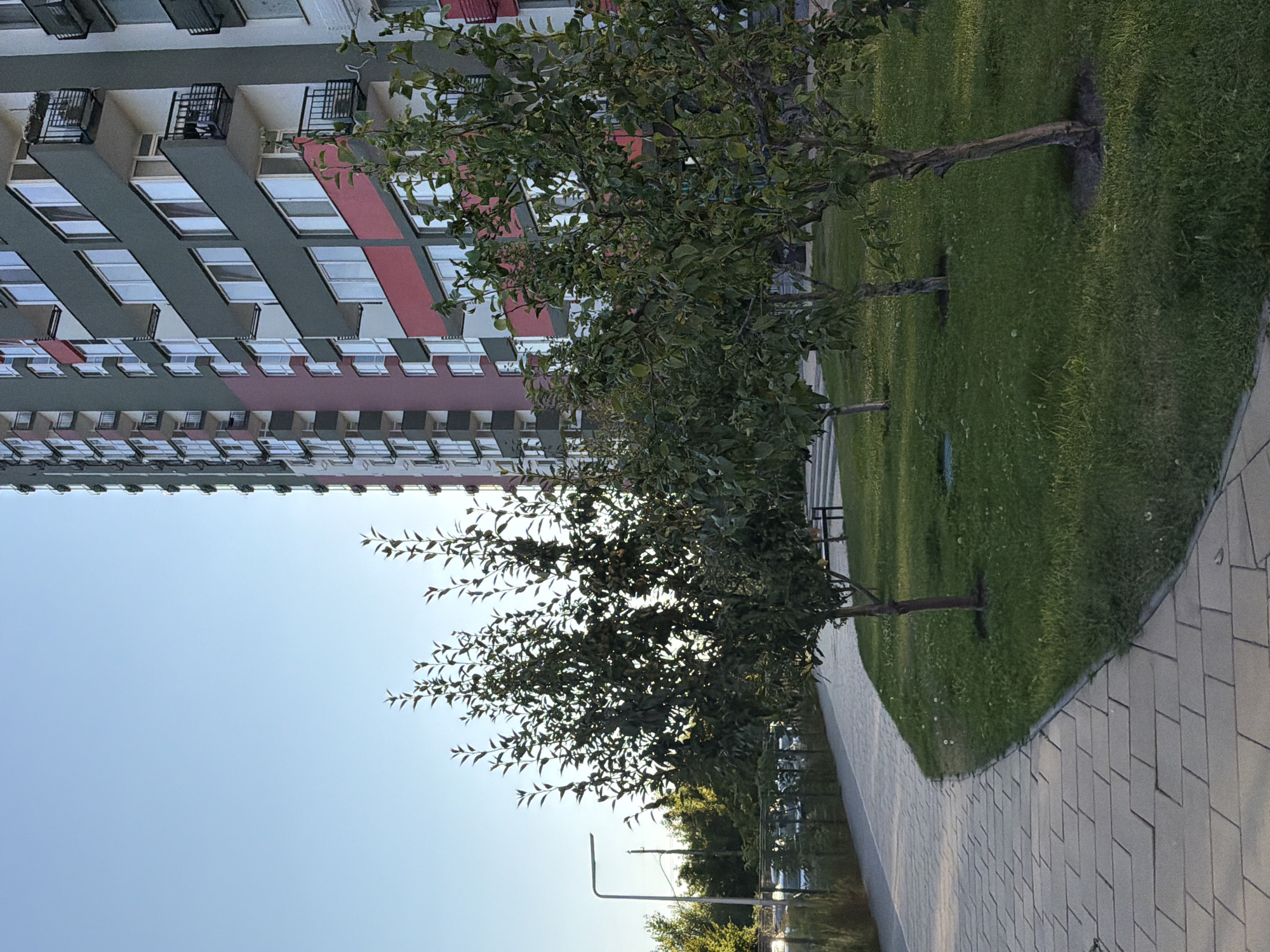 The image depicts a modern residential building in Kyiv, Ukraine, with a clear blue sky in the background. In the foreground, a paved walkway curves through a grassy area with several young trees. The building is tall and multi-story, featuring balconies and numerous windows. The walkway is made of rectangular stone pavers. The trees are deciduous, with green foliage. The overall scene suggests an urban residential area, likely a courtyard or park space adjacent to the building.