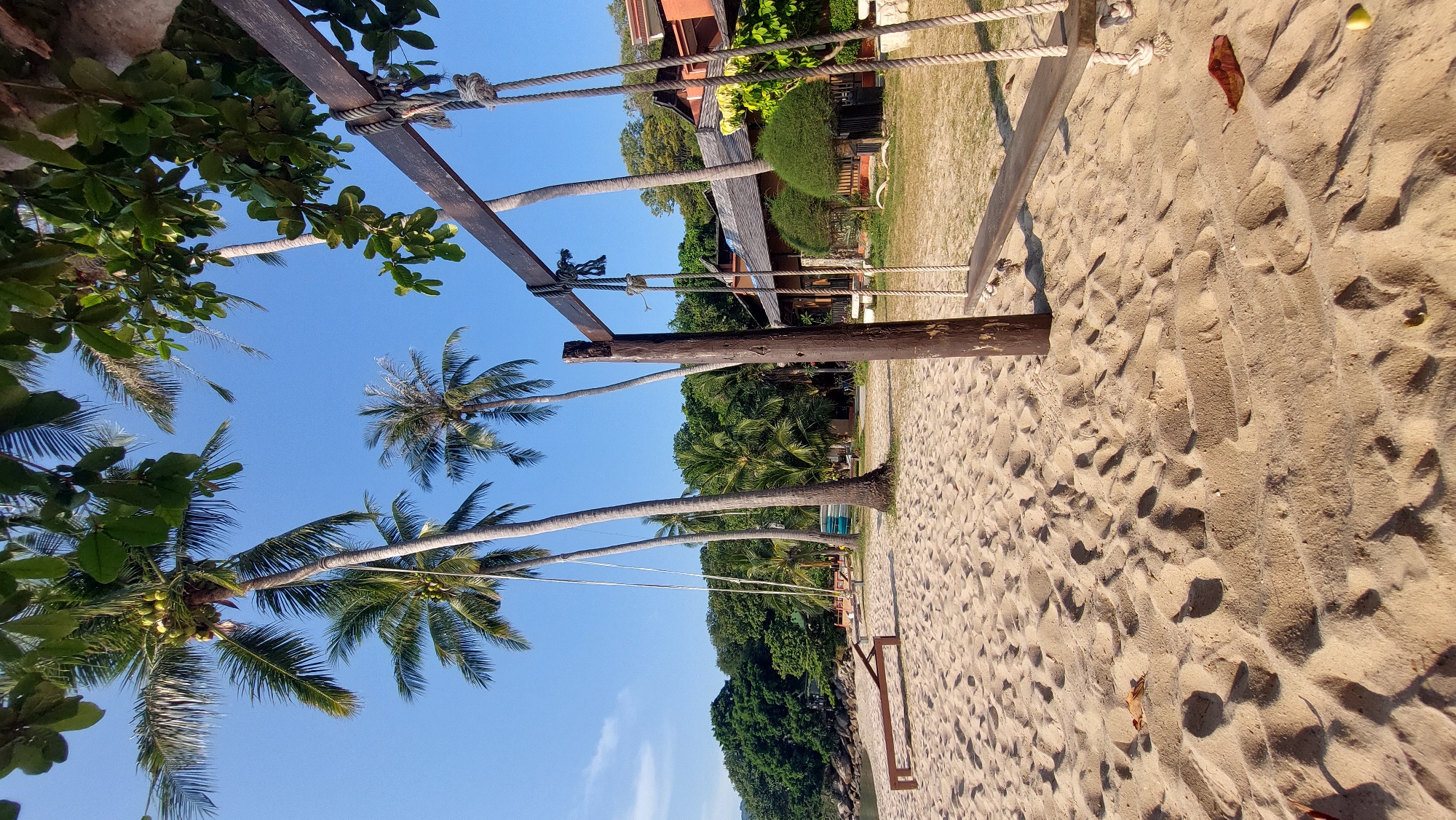 This image captures a vibrant, sunny tropical beach scene, likely located in Tambon Ko Tao, Thailand, as indicated by the context. The photograph is taken from a slightly low angle, looking up towards the clear blue sky through a canopy of green foliage and palm fronds.
The foreground is dominated by light brown sand, showing various textures, footprints, and small indentations created by bright sunlight and shadows. A rustic wooden structure, possibly a swing set or part of a recreational area, is prominent on the right side, made of sturdy logs and planks secured with ropes. These ropes also appear to hang down, suggesting a swing.
Several tall palm trees with lush green fronds are scattered across the scene; some display clusters of young coconuts. Their trunks are visible, with some leaning gracefully. Beyond the sandy area and interspersed with the palm trees, a dense expanse of rich green foliage, including bushes and larger trees, forms a verdant backdrop.
In the mid-ground and background, buildings with distinct orange-tiled roofs and dark wooden facades are partially visible, suggesting a resort, bungalows, or guesthouses nestled among the trees. A strip of green grass separates the sand from these structures in certain areas. A small blue container or bucket is discernible near the base of one palm tree, and a single green fruit along with a dried reddish-brown leaf lies on the sand.
The clear, bright blue sky and the strong shadows on the sand indicate a sunny day, likely during the morning or late afternoon. No people are visible, lending a sense of tranquility and an undisturbed paradise to the scene. The overall atmosphere is peaceful and inviting, characteristic of a tropical vacation destination.