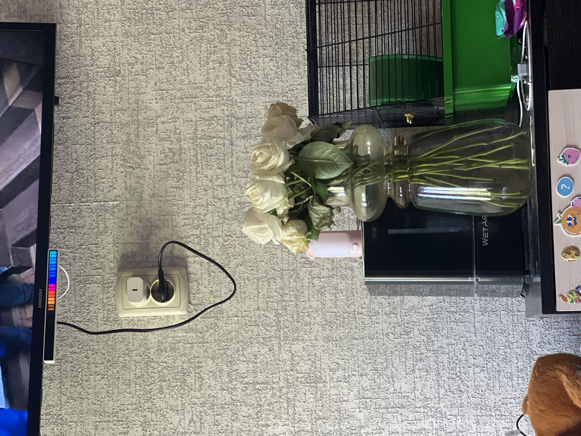 The image depicts a wall with textured wallpaper in a room. A black television is mounted on the wall at the top. Below the TV, a white LED light bar with a colorful spectrum display is attached to the bottom edge of the TV. A black cable hangs down from the light bar, connecting to a white electrical outlet on the wall. A white electrical adapter is plugged into the top socket of the outlet, and a black power cord is plugged into the lower socket. To the left of the outlet, a bouquet of white roses in a clear glass vase sits on a black surface. A small pink bedside lamp with a bear ear design is placed next to the vase. To the right of the vase, a black wire cage, possibly for a pet, is visible, with a green plastic base and a green wheel inside. The scene appears to be indoors, likely in a residential setting, and there are no people visible in the image. The overall impression is one of a domestic, possibly living room or bedroom environment. The reference to Horishni Plavni, Ukraine is not directly ascertainable from the visual information provided in the image itself.