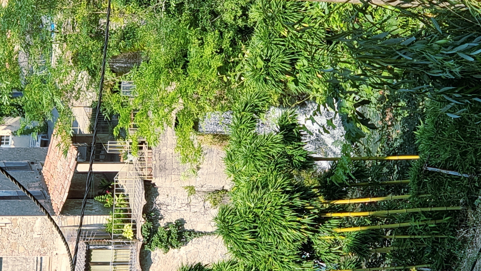 This image captures a tranquil scene in La Canya, Spain, showcasing a charming building with an overhanging tiled roof, supported by a central pillar. A metal railing encloses a small balcony adorned with potted plants. Adjacent to the building, a cascade of water tumbles down a textured stone wall, feeding into a body of water partially obscured by lush green foliage and tall bamboo stalks. The sunlight illuminates the vibrant greenery, creating a serene and inviting atmosphere. The scene appears to be a residential area, with the building suggesting it could be a home or a small guesthouse.