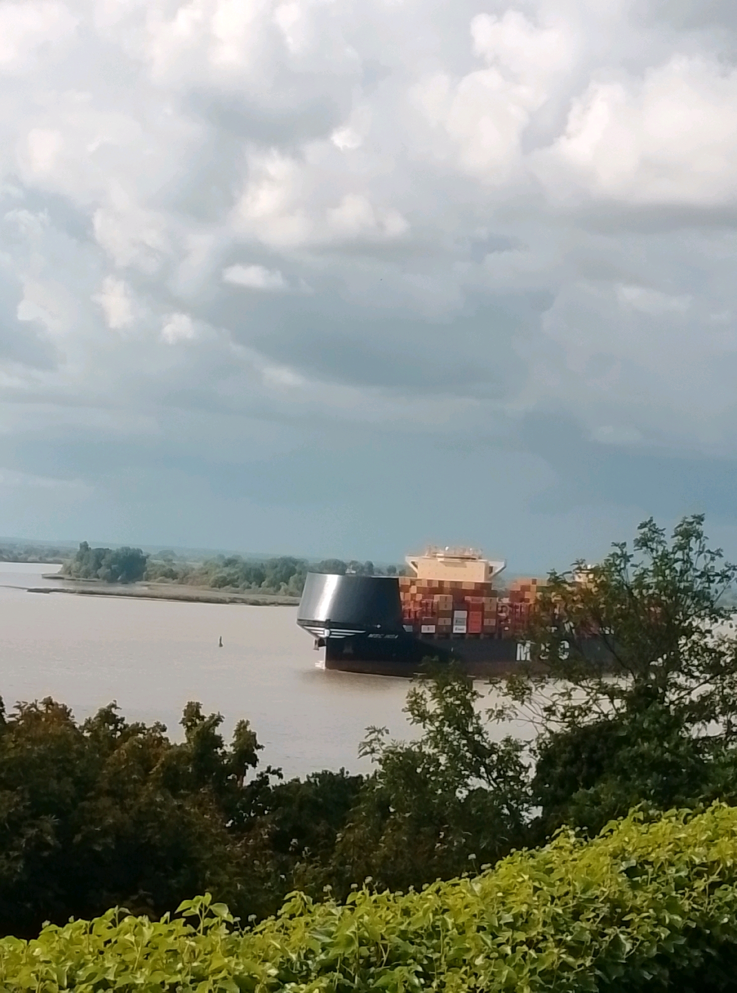 This is a photograph of a large container ship sailing on a river, likely the Elbe River in Hamburg, Germany. The ship, identified by the "MSC" logo on its hull, is laden with numerous stacked cargo containers. The sky above is overcast with dramatic, textured clouds. In the foreground, dense green foliage and trees form a natural border, suggesting the photograph was taken from a slightly elevated vantage point overlooking the river. The river itself is calm and a murky brown color. In the distance, a treed shoreline is visible, indicating a natural landscape bordering the waterway. The overall scene depicts a commercial port city environment with elements of both industrial shipping and natural scenery.