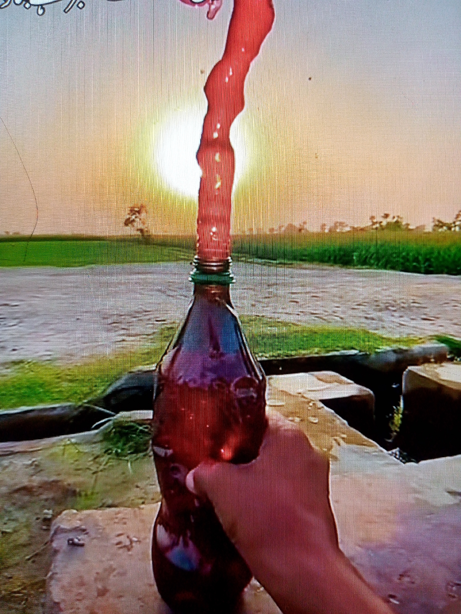 The image captures a dynamic outdoor scene, likely at sunrise or sunset, showing a hand holding a brown plastic bottle from which a thick, red liquid or foam is erupting upwards in a wavy stream. The eruption is silhouetted against a brilliant, low-hanging sun, which dominates the upper middle portion of the frame with a strong, warm glow.
The setting appears to be a rural or semi-rural landscape. In the background, green fields or grasslands stretch towards a distant horizon line, where a sparse line of trees is visible. A lighter-colored path or body of water may be present in the midground, separating the immediate foreground from the distant fields. The immediate foreground consists of rugged, light-colored surfaces, possibly rocks or concrete blocks, on which the bottle is resting, held by the hand.
The activity is the dramatic eruption from the bottle, which creates a striking visual against the bright sun. The light from the sun backlights the scene, making the erupting liquid appear almost molten.
Notable details include the time of day, strongly suggested by the intense low sun and warm light. The image itself appears to be a photograph of a digital screen, indicated by the visible pixel grid pattern and potential screen artifacts like a faint line or hair in the top left corner. There is no clearly legible text visible on the bottle or elsewhere in the image. The overall impression is one of an experiment or playful event, capturing a moment of energetic release.