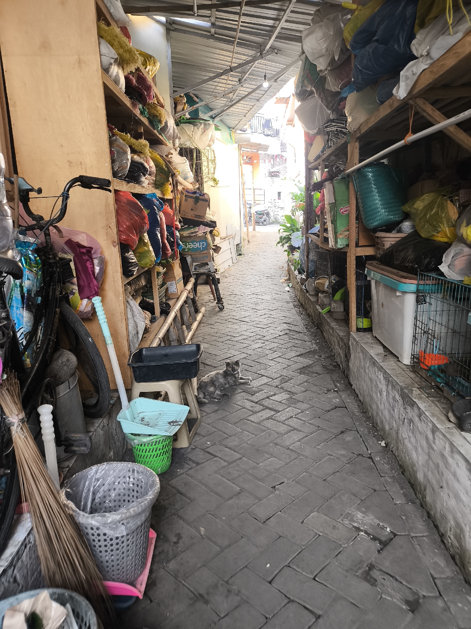 This image captures a narrow, covered alleyway in the city of Citrodiwangsan, Indonesia, likely a commercial or residential back alley. The alley is paved with grey interlocking bricks, some of which appear worn or cracked. The walls of the alley are lined with shelves constructed from rough wood, overflowing with a variety of items. These include sacks of what appear to be fabric scraps or raw materials, plastic bags filled with unknown contents, cardboard boxes, and various containers. On the left side, a bicycle is parked, leaning against the shelves, its handlebars and frame partially obscured by bags. A broom made of natural fibers stands upright next to the bicycle. In the foreground on the left, a metal trash can, lined with plastic, sits on a pink mat. Further into the alley, on the right side, a cat with grey tabby fur is lying down on the brick pavement, looking towards the camera. Adjacent to the cat, there are several crates and containers, including a green plastic basket and a large white container with a blue lid. The alley is covered by a corrugated metal roof, supported by wooden beams, allowing sunlight to filter through, creating dappled lighting. At the far end of the alley, buildings and more structures are visible, suggesting it opens to another area. The overall impression is one of a functional, cluttered space, possibly used for storage or as a service access in a busy urban environment.