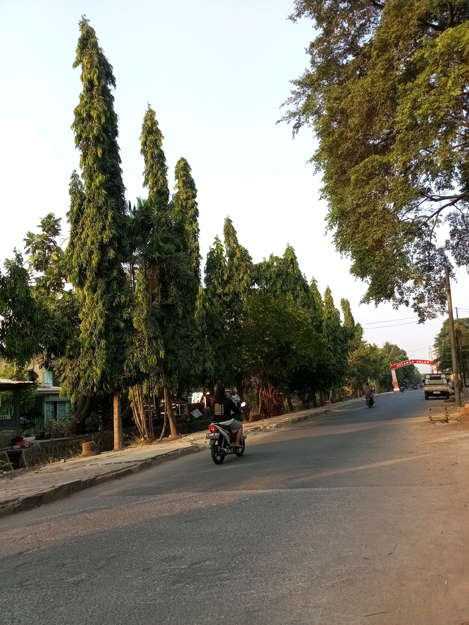 The image depicts a street scene in Bekasi, Indonesia, characterized by a clear sky and a paved road lined with tall, slender trees. In the foreground, a motorcycle with a rider is visible on the right side of the road. The rider is wearing a dark shirt with a graphic on the back and shorts. The motorcycle has a license plate with characters visible, though not fully legible.
Further down the road, another motorcycle and a pickup truck are also present. The pickup truck is light-colored and appears to be parked or moving slowly. An archway with the text "SELAMAT JALAN" (which translates to "farewell" or "safe journey" in Indonesian) is visible in the distance, indicating a possible entrance or exit to an area.
The left side of the road features a sidewalk, a low stone wall, and some buildings partially obscured by dense foliage. The overall environment suggests a suburban or semi-urban setting with significant tree cover. The lighting indicates it is either early morning or late afternoon, with sunlight casting shadows on the road.