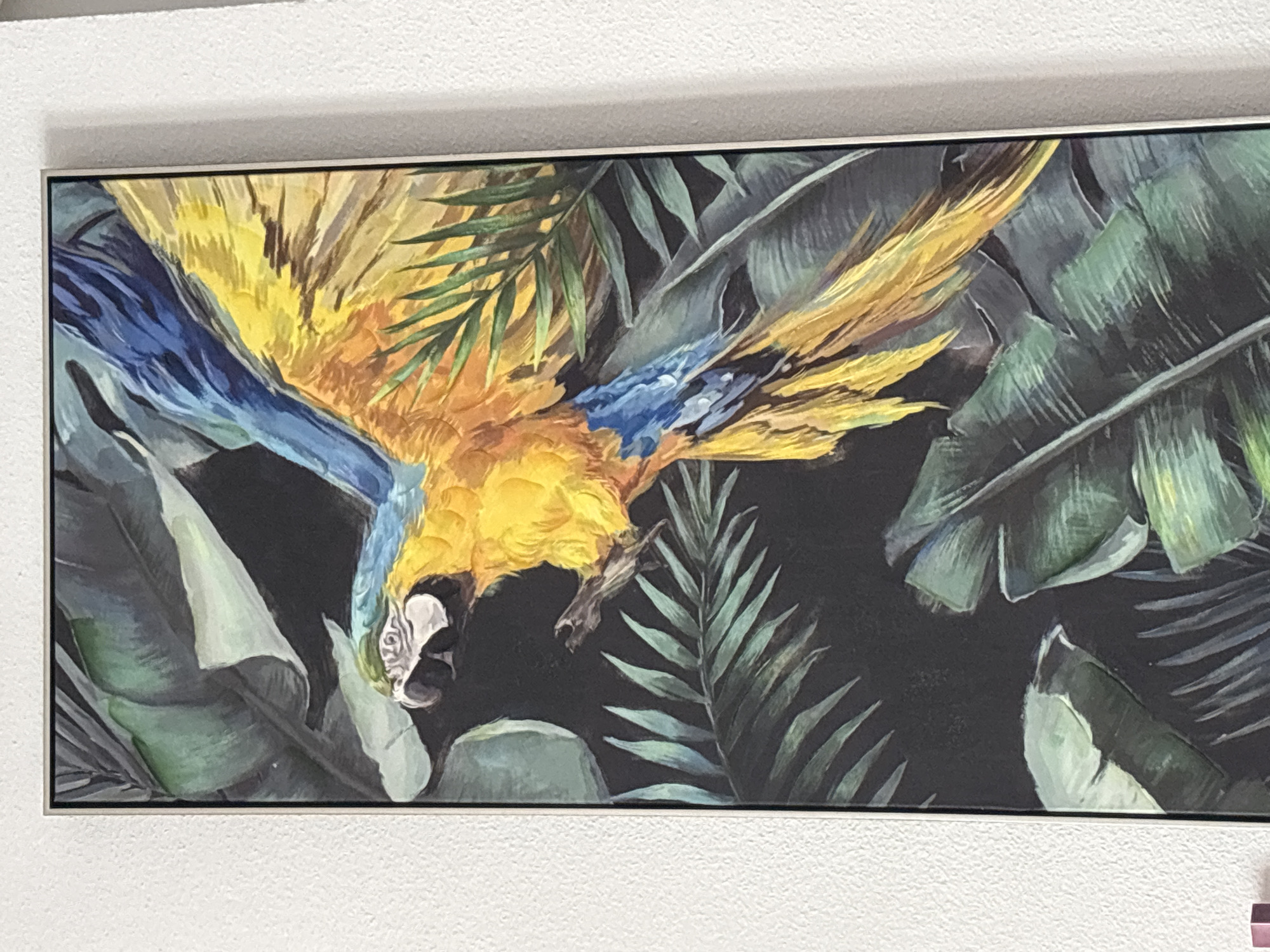 A framed painting of a blue and yellow macaw is displayed on a white, textured wall. The macaw is depicted mid-flight, with its wings outstretched and tail feathers fanned. It is surrounded by lush green foliage, suggesting a tropical environment. The painting has a dark background, which makes the vibrant colors of the macaw and leaves stand out. The frame is thin and silver. The image does not provide any specific location in the city of Orihuela, Spain, or any details about people, actions, or interactions.