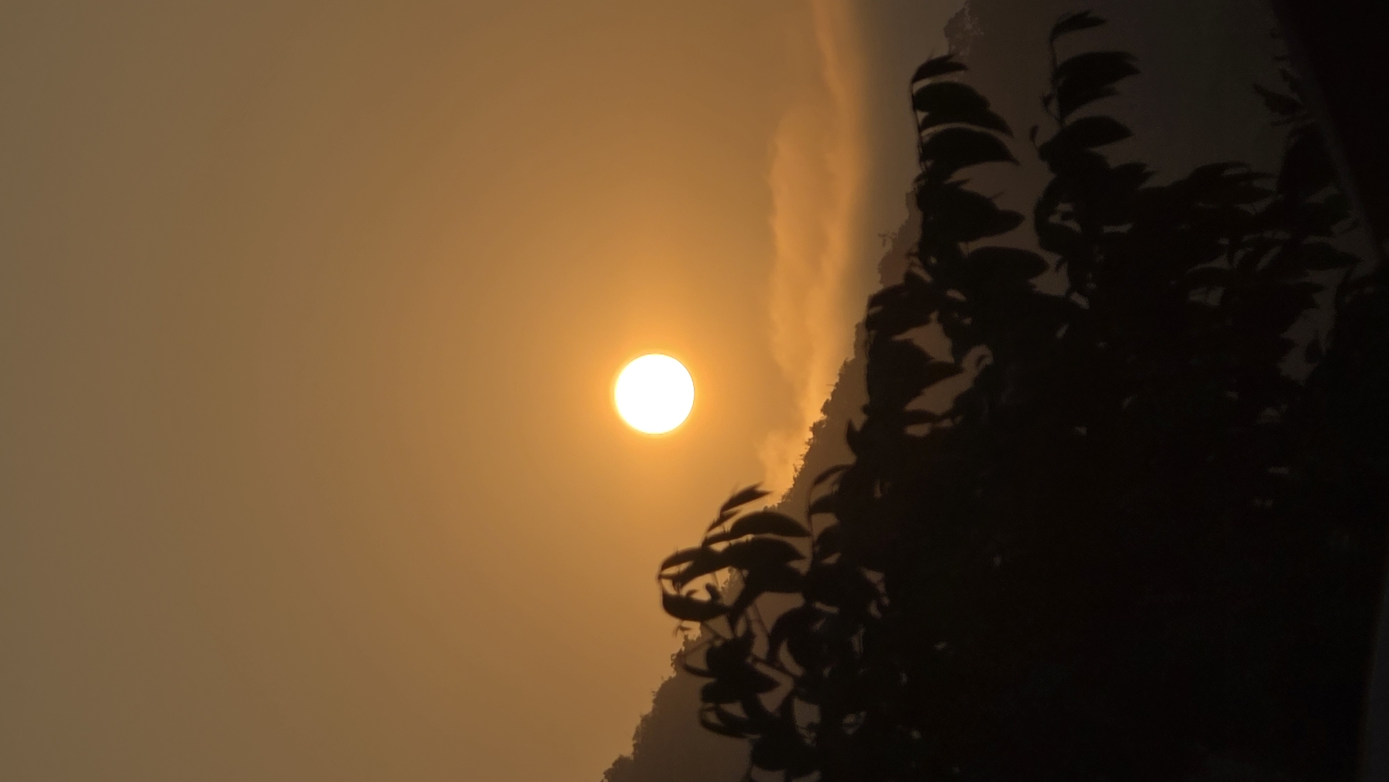 The image captures a vivid sunset, likely in or near the Bac Natural Heritage Area Trang, Vietnam, given the natural elements present. The sun, appearing as a bright orb, is positioned amidst an orange-tinted sky, indicative of either dawn or dusk. To the right, the silhouettes of dense foliage, possibly trees or shrubs, are visible. A faint mountain or land mass can be seen behind the plants. The scene evokes a sense of tranquility and natural beauty. The lighting suggests the time of day is either early morning or late evening.