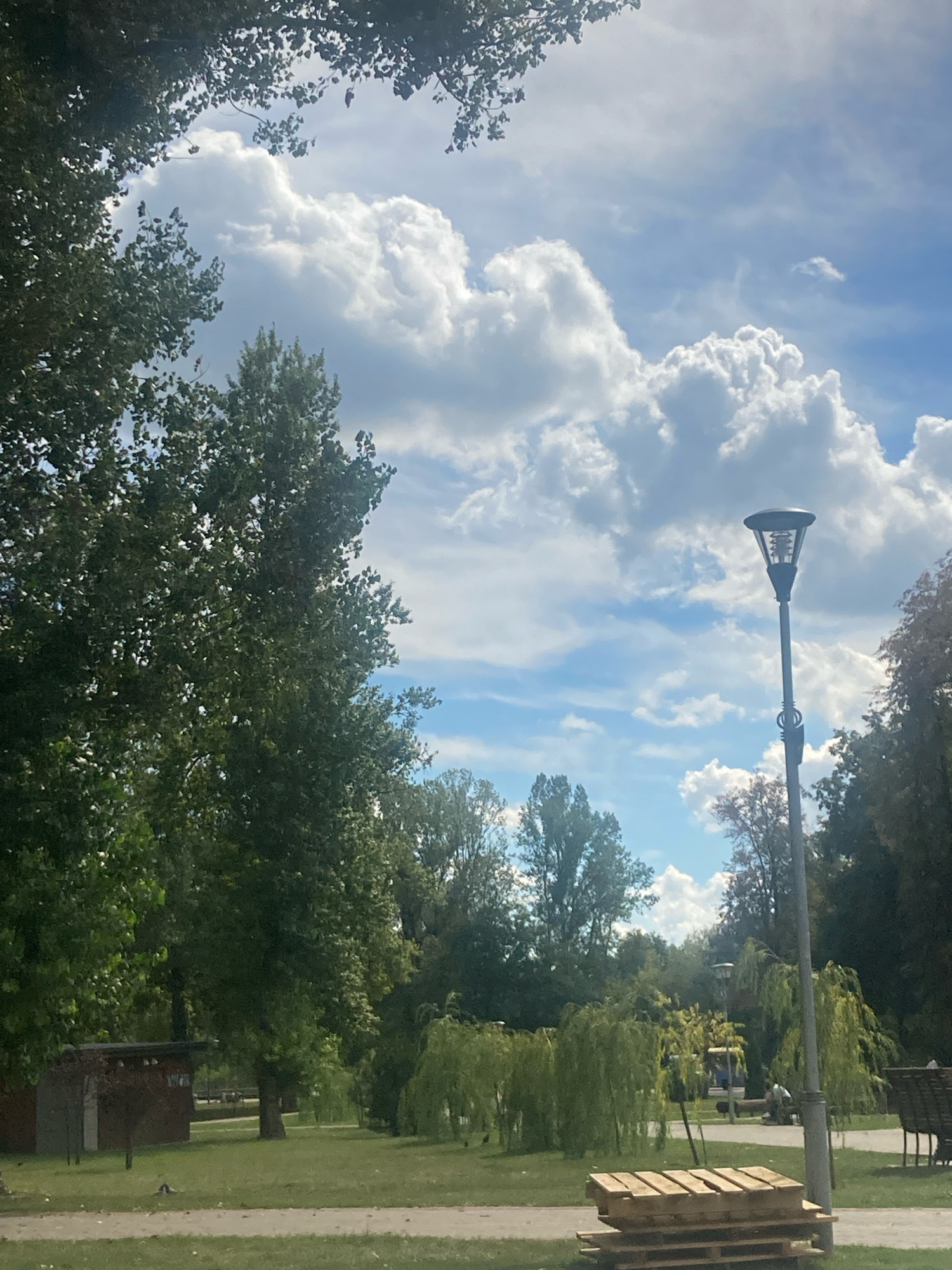 The image shows a park with trees, a lamppost, and a wooden pallet. The sky is blue with white clouds. In the background, there are more trees and some benches. The scene appears to be a public park.
