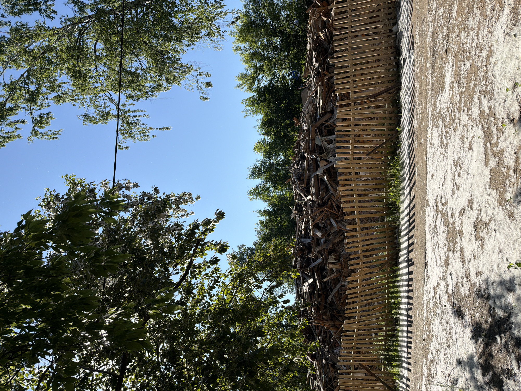 The image depicts a pile of debris, primarily composed of wood and building materials, behind a light brown wooden picket fence. The debris is situated in an outdoor environment with a clear blue sky visible above. Lush green trees flank the top of the image, and a black wire stretches across the sky between them. The ground in front of the fence is covered in a light-colored, fluffy material, possibly cottonwood fluff, which is also present on the dirt road. The scene appears to be a construction or demolition site, or a place where waste materials are being stored. There are no people visible in the image. The location is identified as Chaikovsky, Russia.