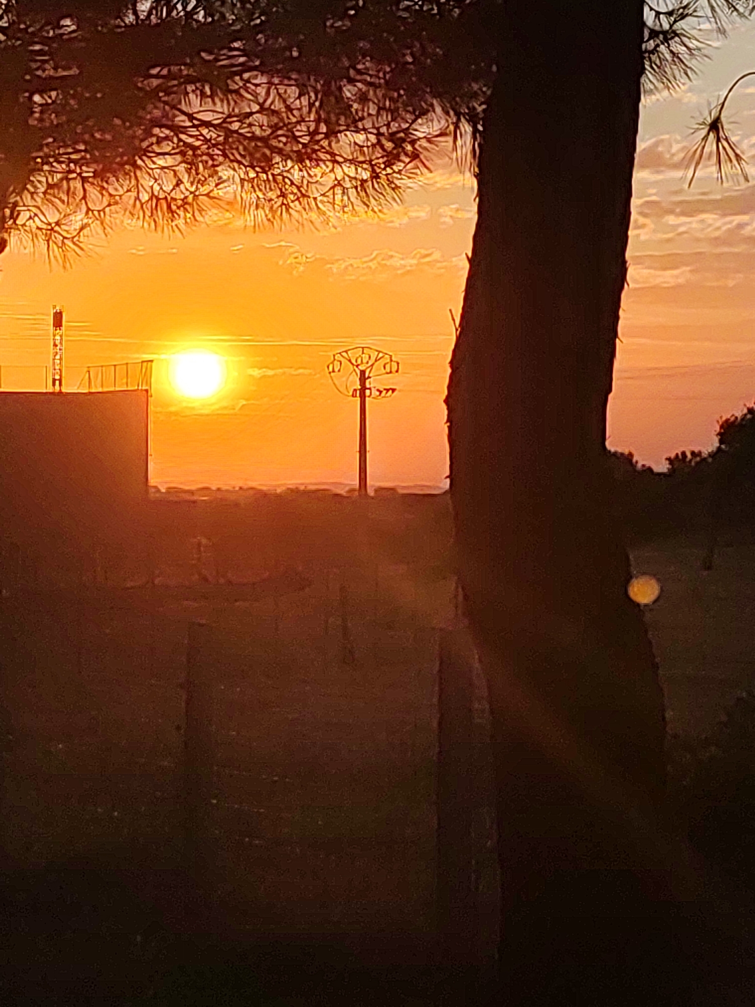 The image depicts a sunset scene in Sobradillo, Spain, with a bright orange sun low on the horizon, casting a warm glow over the landscape. In the foreground, the silhouette of a tree trunk dominates the right side of the frame, with branches of another tree visible in the upper left. A structure, possibly a building with a fence, is situated to the left, near a tall, slender tower with antennas. In the middle ground, a distinct utility pole with wires stands out against the sky. The background shows a hazy, distant horizon. The overall impression is one of natural beauty and rural tranquility, with man-made structures subtly integrated into the environment.