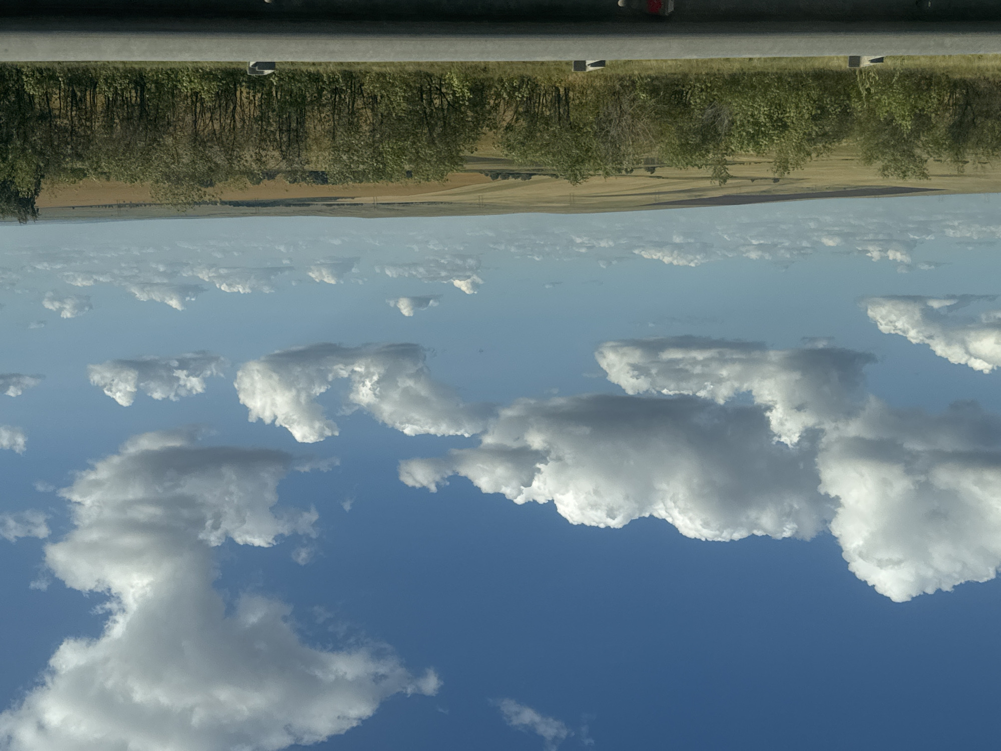 The image displays a vast landscape under a bright blue sky dotted with fluffy white clouds. The foreground features a grey concrete barrier. Beyond the barrier, a line of green trees runs horizontally across the frame, separating the foreground from fields of golden-brown crops and rolling hills that stretch into the distance. The landscape appears to be rural, with no visible buildings or people. The overall impression is one of an open, expansive natural environment, likely taken from a roadside or elevated viewpoint, possibly on the outskirts of Perevolotsky, Russia, given the characteristic agricultural fields and vast sky.