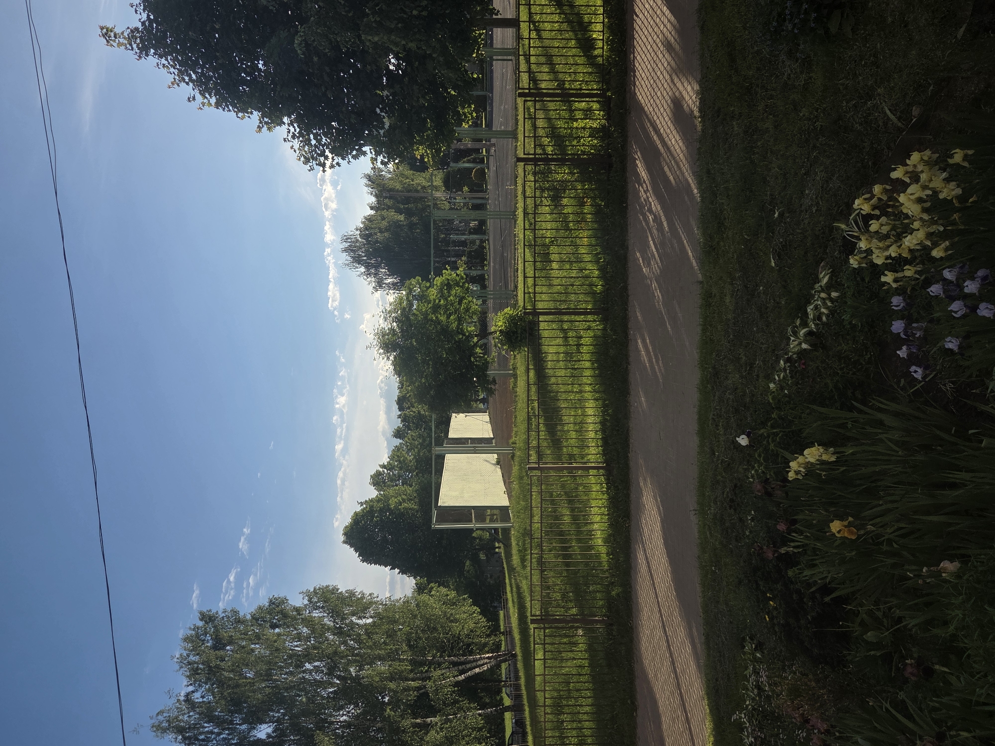 The vertically oriented image displays an outdoor scene under a clear, bright blue sky with sparse white clouds. Two thin black wires stretch diagonally across the upper left portion of the sky. To the right, a light-colored path, possibly paved, runs vertically, with distinct, elongated shadows from a fence cast upon it, indicating strong sunlight. A dark metal fence with vertical bars parallels the path, separating it from a vibrant green grassy area.
Beyond the fence and grassy expanse, various deciduous trees with lush green foliage are visible, including one with a lighter-colored trunk in the lower left. In the middle ground, two light yellowish-green rectangular structures, possibly informational boards or screens, stand within the green space. Further behind these, other lighter-colored posts or structures can be discerned. Along the lower right edge of the path, a small garden bed features clusters of bright yellow flowers, resembling daffodils, alongside some purple flowers amidst darker green foliage.
The time of day appears to be sunny, likely morning or late afternoon, given the length and angle of the shadows. The weather is clear and bright. The setting suggests a public park, garden, or recreational area. No people are visible, and there is no discernible text in the image. The overall mood is calm and pleasant.