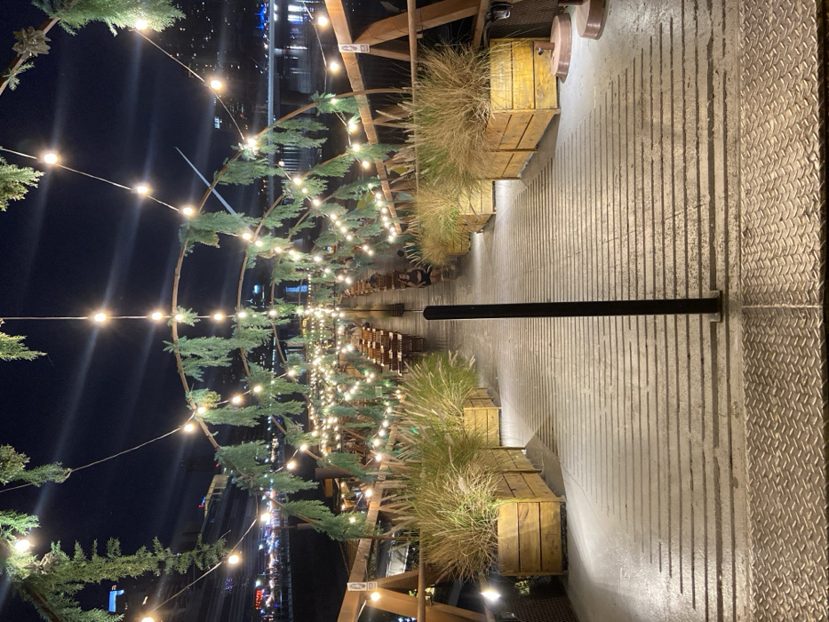 This image depicts a nighttime outdoor dining or event area situated on a waterfront platform or dock in the Puerto Madero district of Buenos Aires, Argentina.
The scene is illuminated by extensive artificial lighting under a dark night sky. In the immediate foreground, a gray, horizontally ridged concrete or composite walkway begins with a section of silver diamond plate metal. A single black, vertical metal post is anchored centrally on this walkway.
Along both sides of the initial walkway, large, rectangular wooden planters hold dense clumps of tall, dried ornamental grasses. Beyond these planters, the space transitions into an extended dining section. Overhead, a series of arching wooden or metal structures span the width, adorned with green, leafy garlands (likely artificial). Numerous warm-toned string lights, featuring exposed bulbs, are strung along and between these arches, providing ambient illumination throughout the area.
The dining area consists of multiple rows of dark-colored wooden tables and matching chairs, arranged to face inward along a central aisle that continues the path of the walkway. Several indistinct individuals are visible seated at these tables, appearing as patrons. A woman with dark hair is discernible seated at a table on the left side of the dining area. No specific actions or interactions beyond seated presence are clearly identifiable.
The background features a dark body of water, likely a dike or canal, which reflects distant city lights. Across the water, the illuminated modern skyline of Buenos Aires is visible, along with the faint outline of a bridge in the far distance.